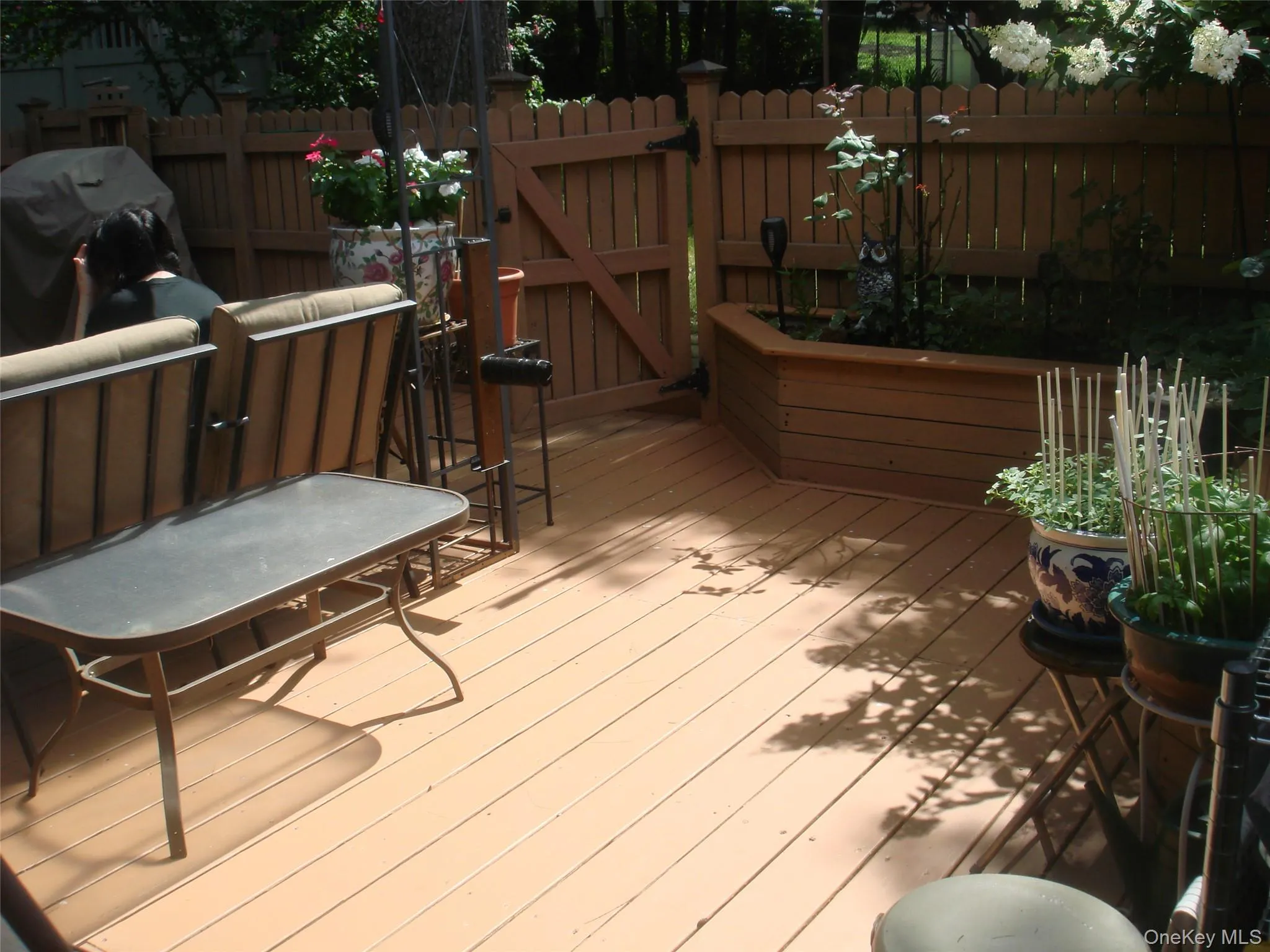 147-47 Charter Road, New York, NY, 2 Bedrooms Bedrooms, 10 Rooms Rooms,1 BathroomBathrooms,Residential,For Rent,Charter,0,1030761 147-47 Charter Road, New York, NY, 2 Bedrooms Bedrooms, 10 Rooms Rooms,1 BathroomBathrooms,Residential,For Rent,Charter,0,1030761