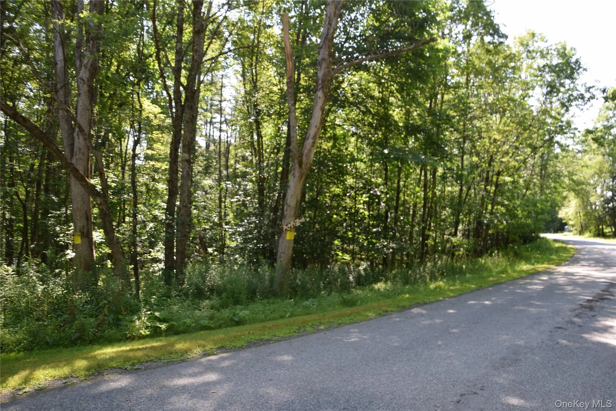 41 West Shore Drive, Deposit, NY, 3 Bedrooms Bedrooms, 6 Rooms Rooms,2 BathroomsBathrooms,Residential,For Rent,West Shore,0,1030776 41 West Shore Drive, Deposit, NY, 3 Bedrooms Bedrooms, 6 Rooms Rooms,2 BathroomsBathrooms,Residential,For Rent,West Shore,0,1030776