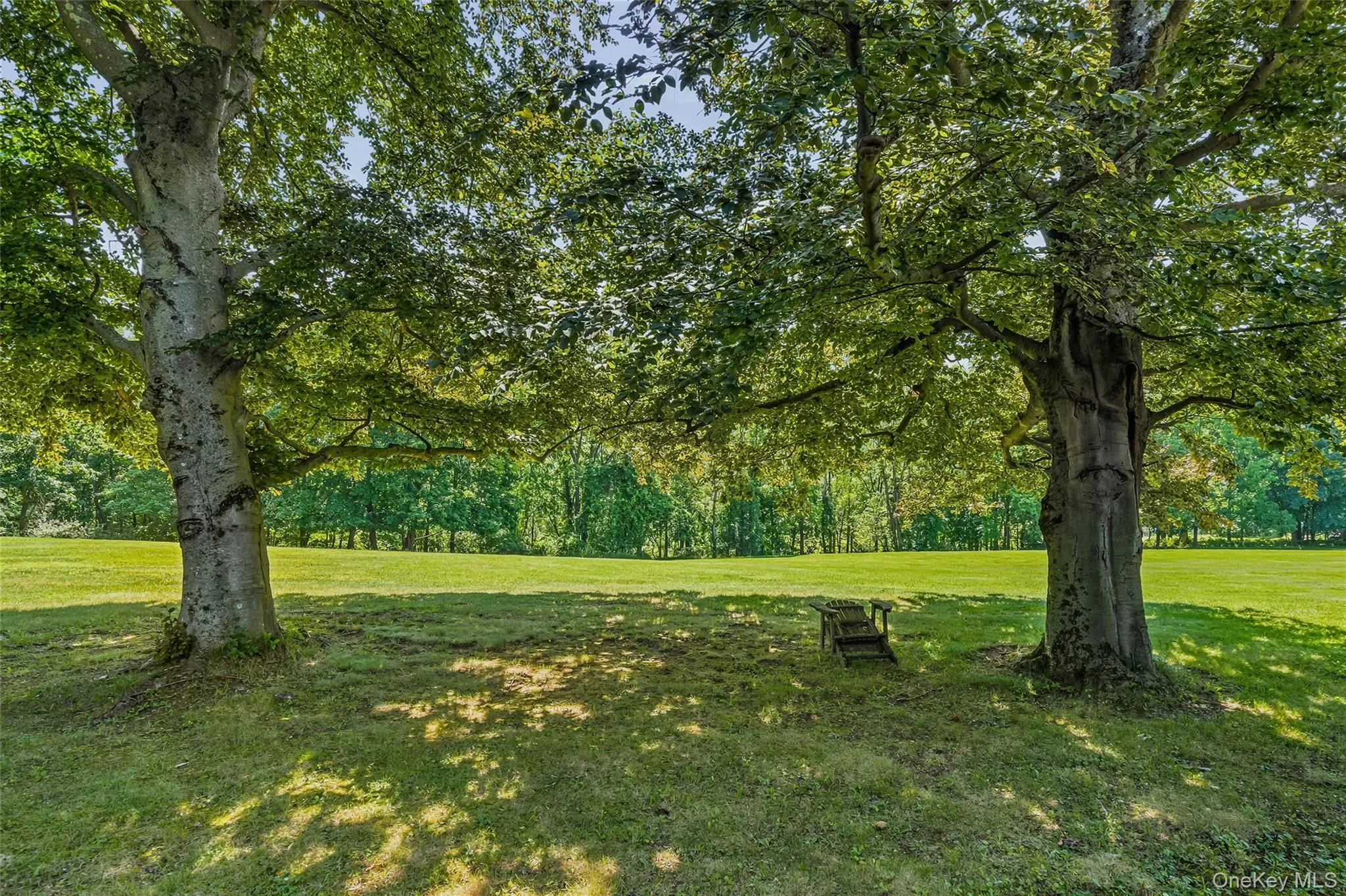130 Cromwell Hill Road, Monroe, NY, 4 Bedrooms Bedrooms, 10 Rooms Rooms,2 BathroomsBathrooms,Residential,For Rent,Cromwell Hill,0,1030858 130 Cromwell Hill Road, Monroe, NY, 4 Bedrooms Bedrooms, 10 Rooms Rooms,2 BathroomsBathrooms,Residential,For Rent,Cromwell Hill,0,1030858