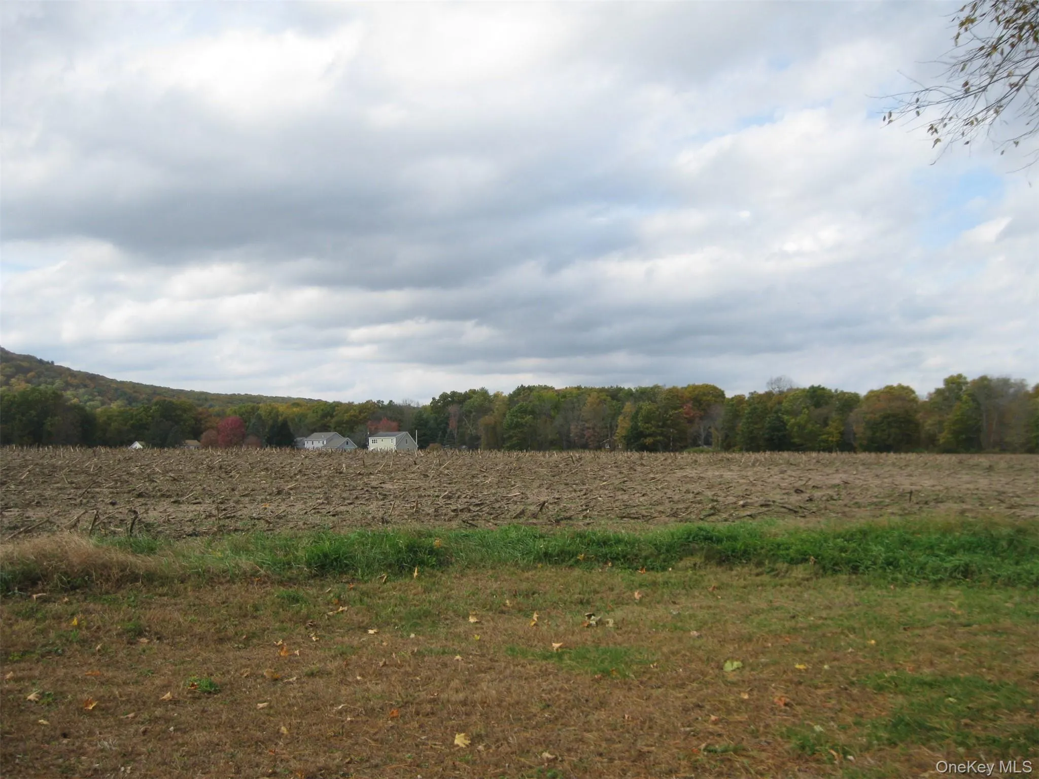 View of wooded area featuring a rural view View of wooded area featuring a rural view