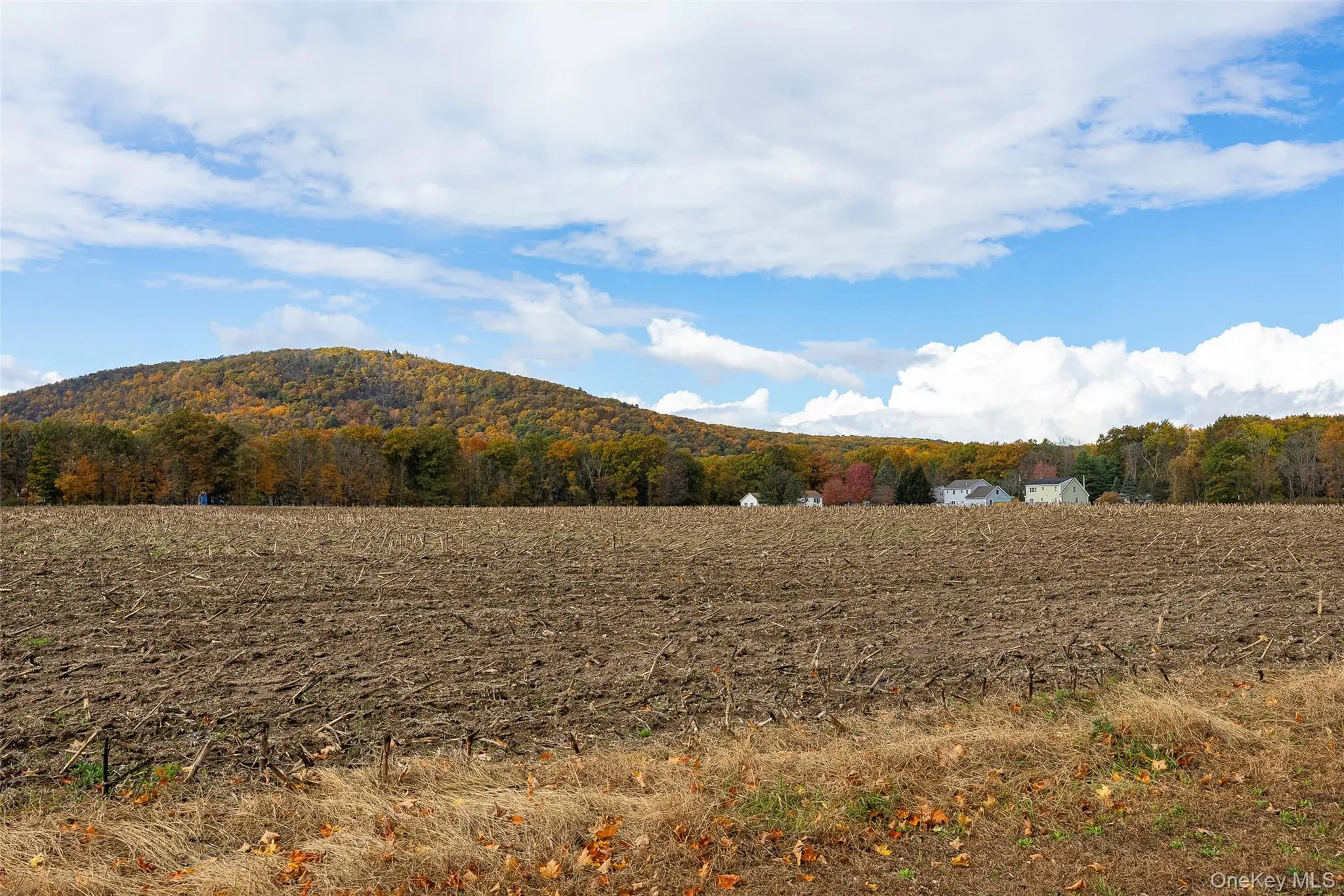 View of mountain background with rural landscape and a forest View of mountain background with rural landscape and a forest