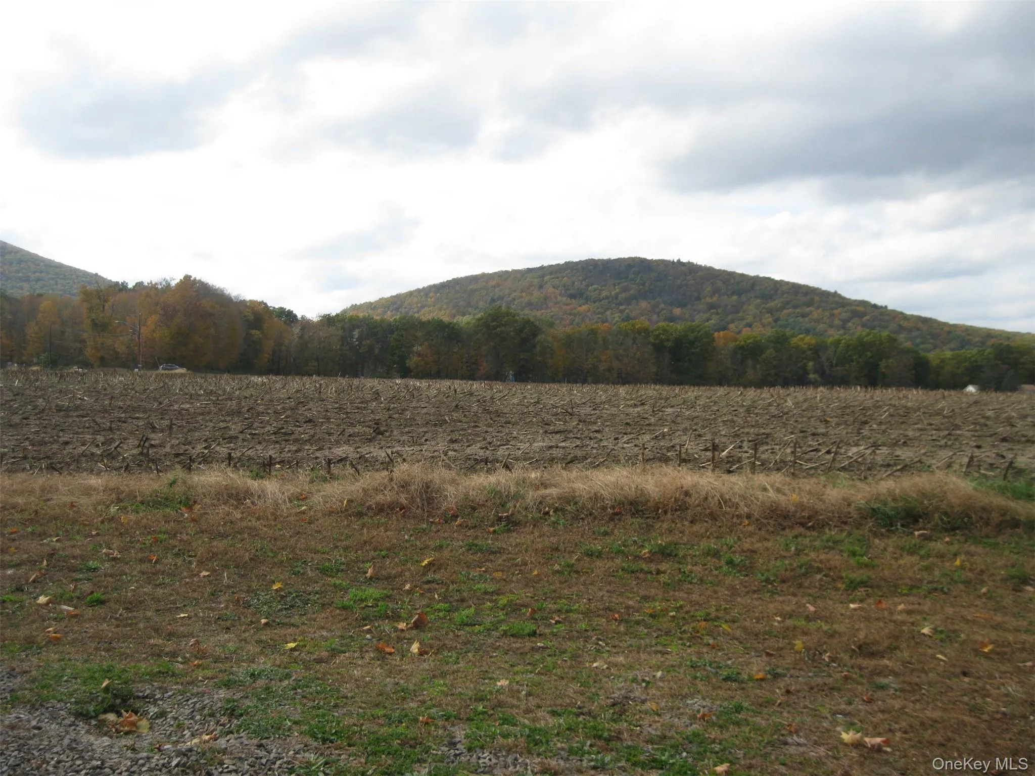 View of mountain background with rural landscape View of mountain background with rural landscape