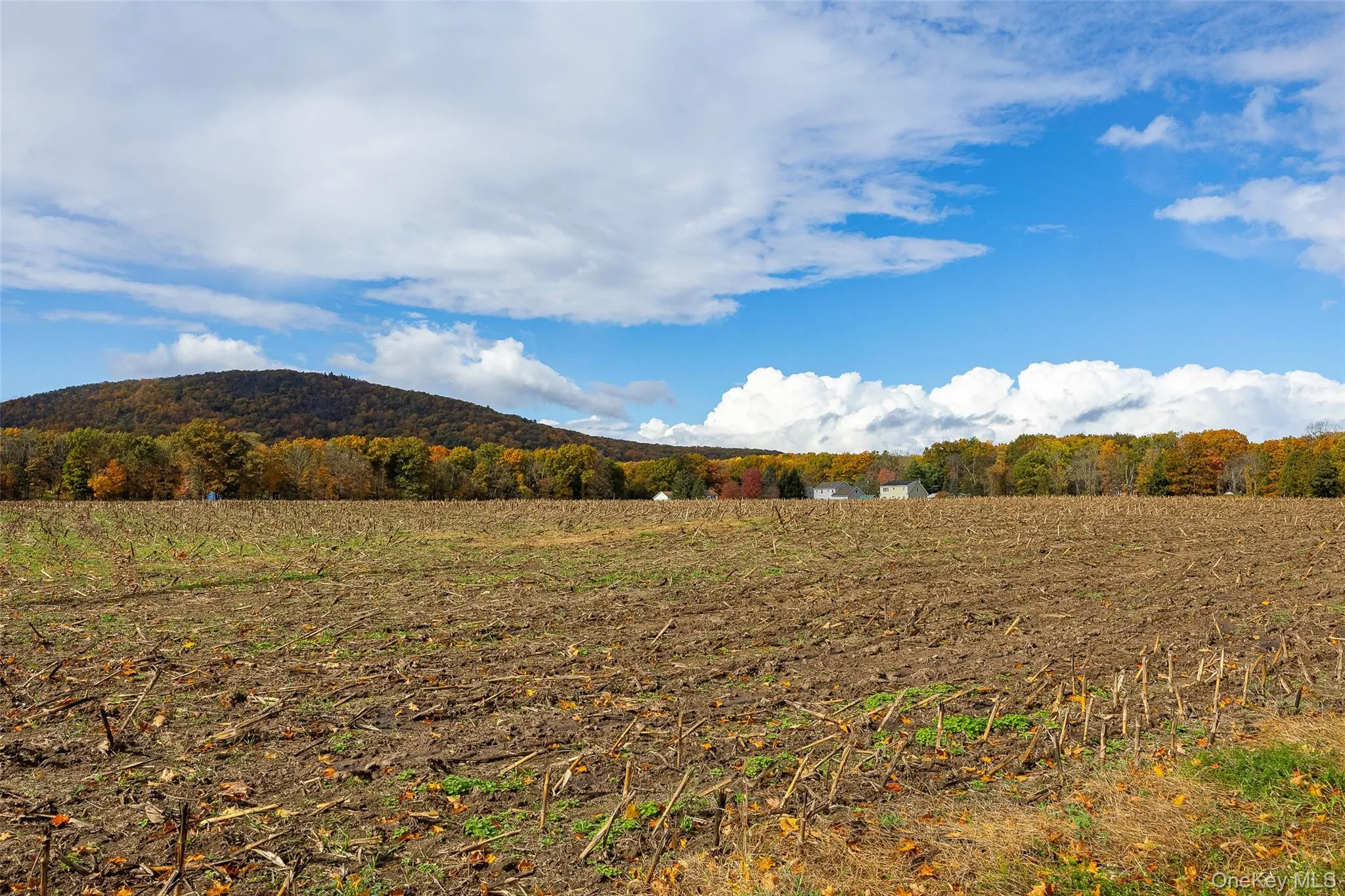 Mountain view with rural landscape Mountain view with rural landscape