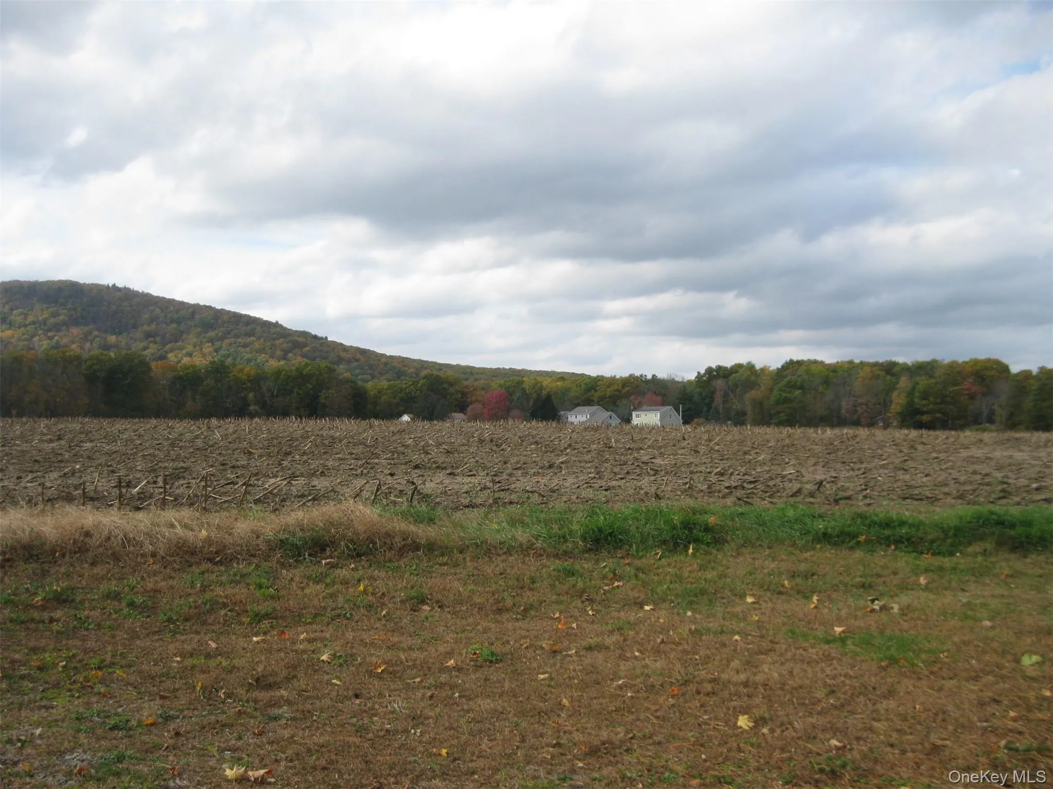 View of mountain backdrop with a heavily wooded area View of mountain backdrop with a heavily wooded area