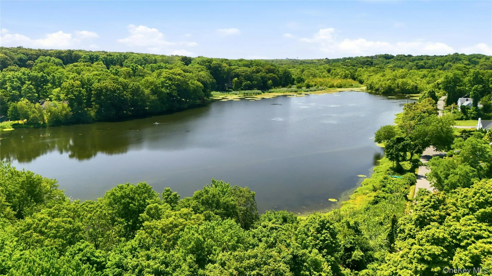 Fresh Pond Fresh Pond