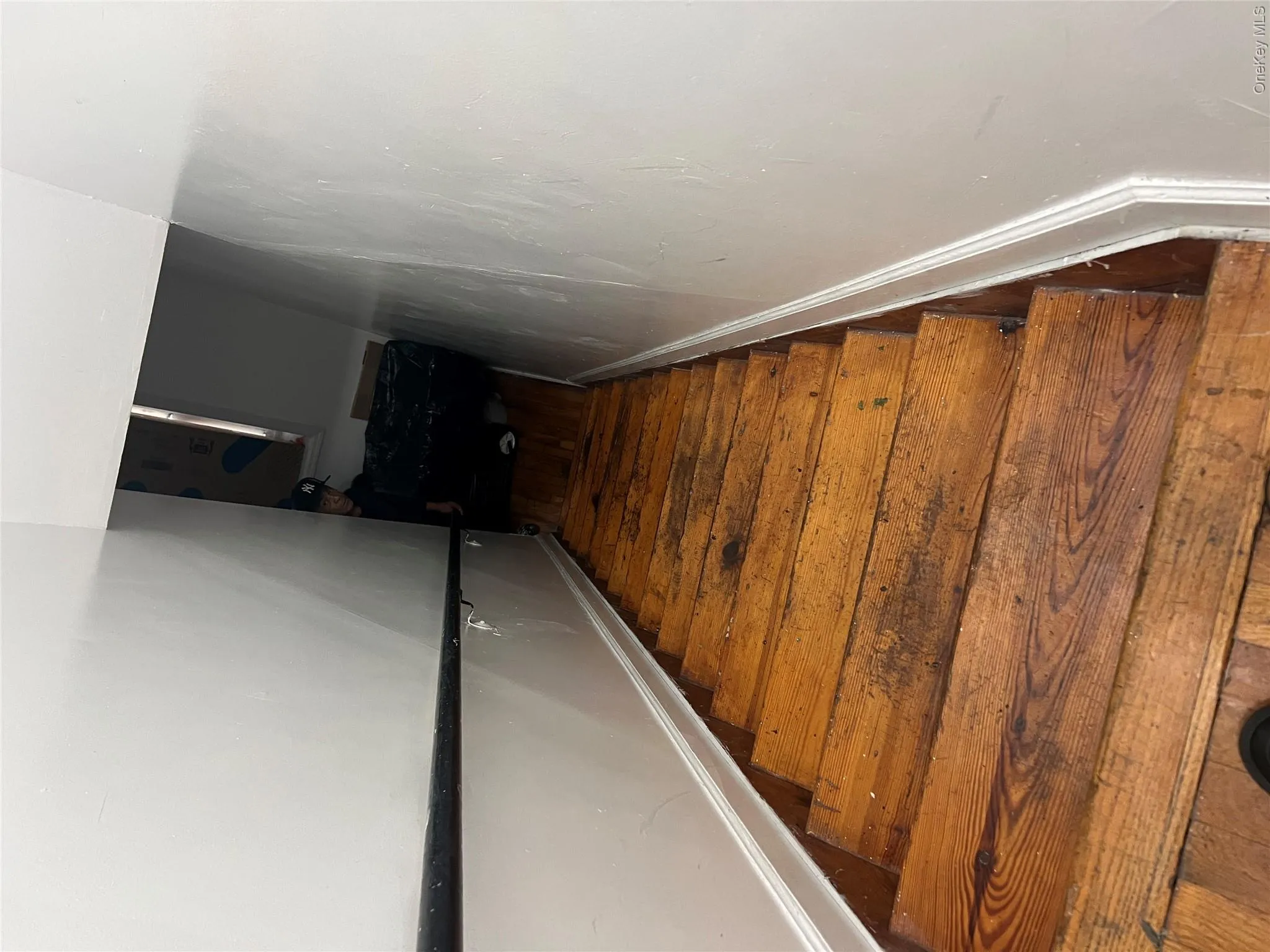 877 Elsmere Place, New York, NY, 9 Bedrooms Bedrooms, 18 Rooms Rooms,6 BathroomsBathrooms,Residential,For Rent,Elsmere Place,0,1030899 877 Elsmere Place, New York, NY, 9 Bedrooms Bedrooms, 18 Rooms Rooms,6 BathroomsBathrooms,Residential,For Rent,Elsmere Place,0,1030899