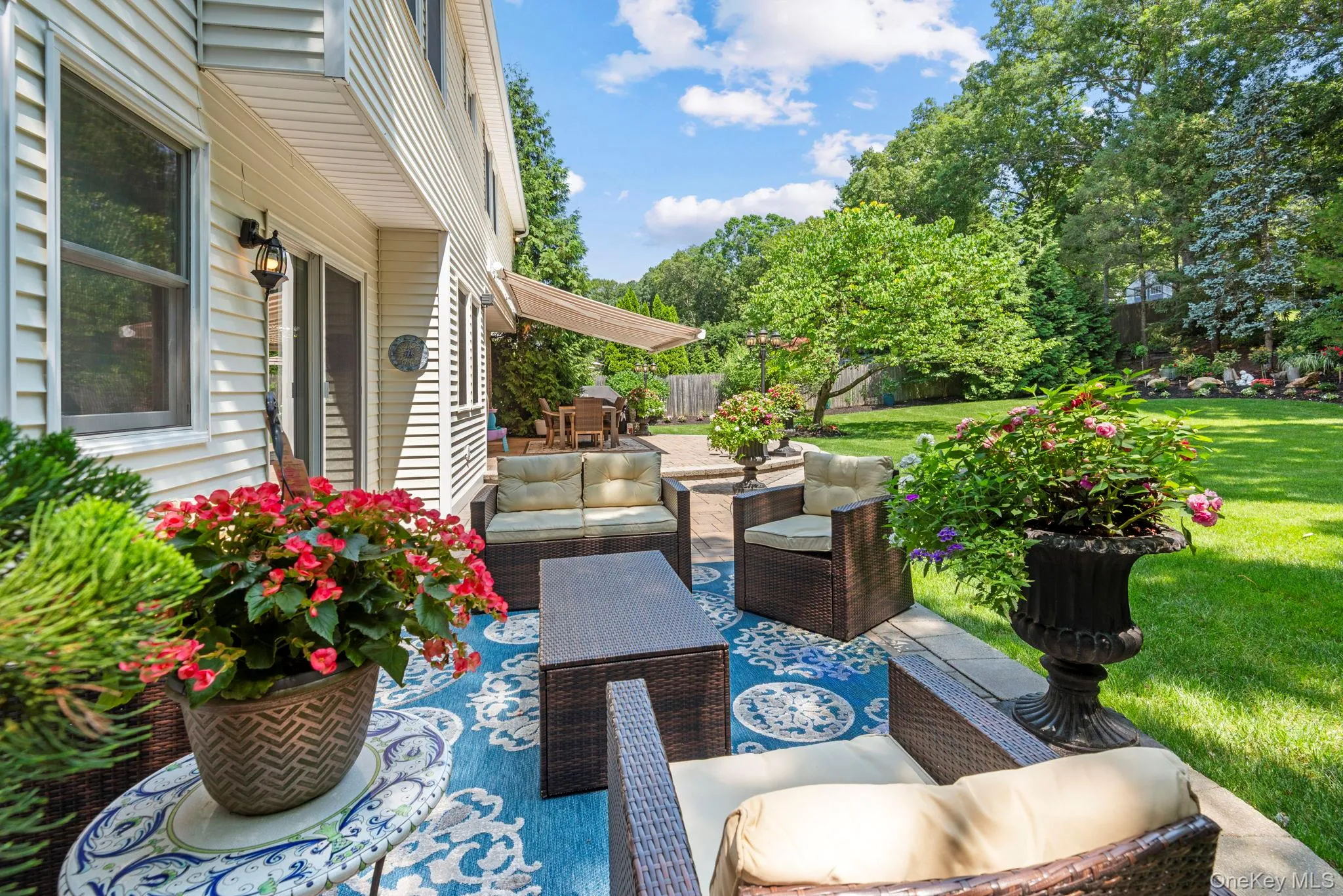 Back Yard Paradise! Back Yard Paradise!