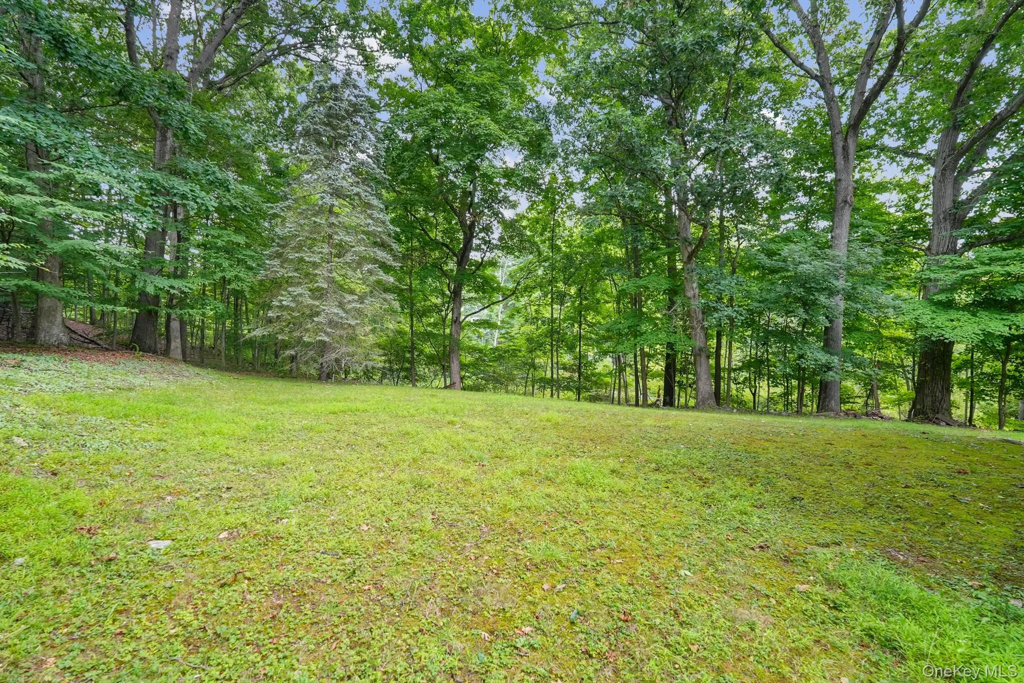 108 Ridge Road, Woodbury, NY, 5 Bedrooms Bedrooms, 8 Rooms Rooms,2 BathroomsBathrooms,Residential,For Rent,Ridge,0,1030932 108 Ridge Road, Woodbury, NY, 5 Bedrooms Bedrooms, 8 Rooms Rooms,2 BathroomsBathrooms,Residential,For Rent,Ridge,0,1030932
