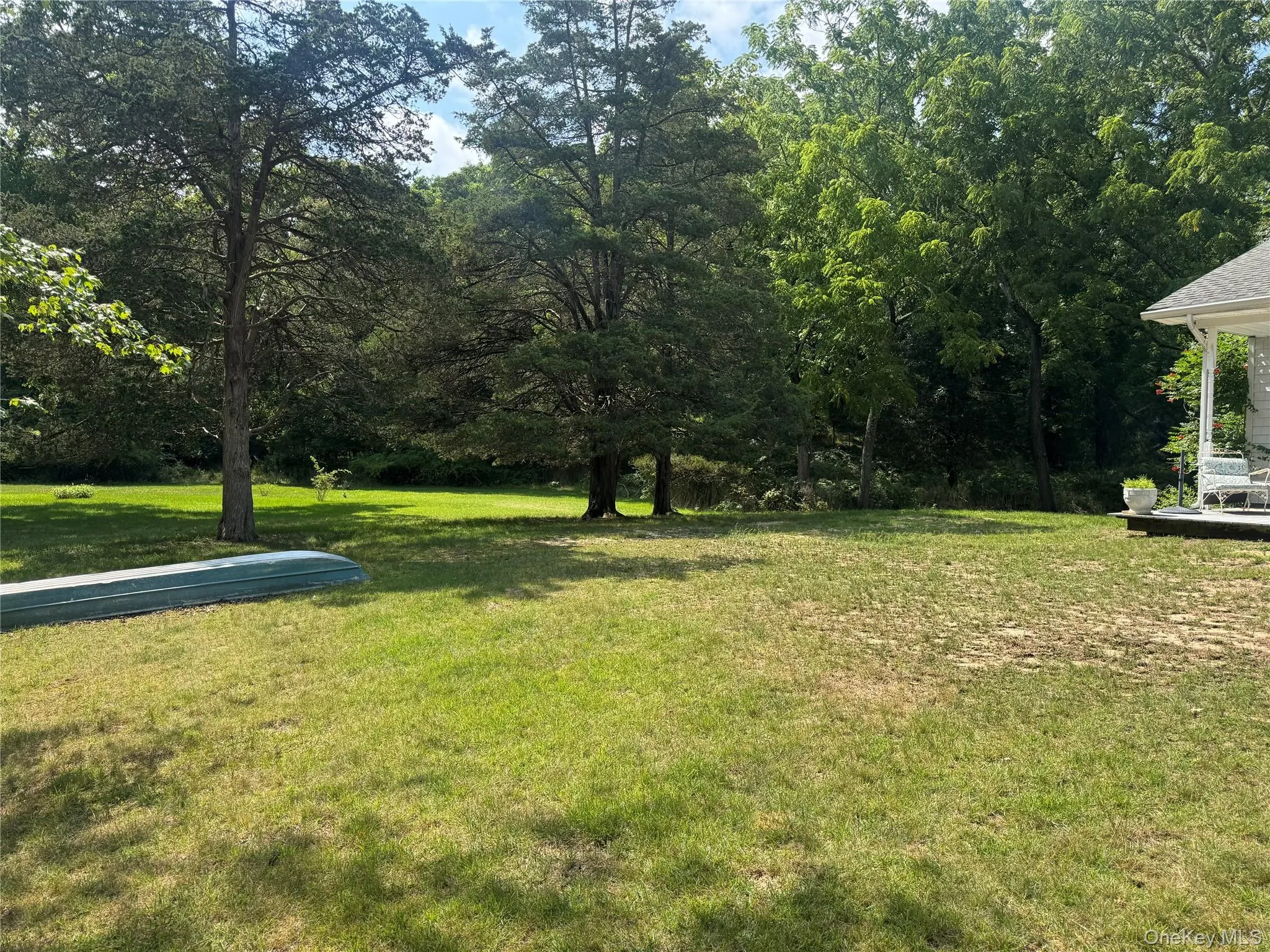 Beautiful Woods with mature trees and plantings Beautiful Woods with mature trees and plantings