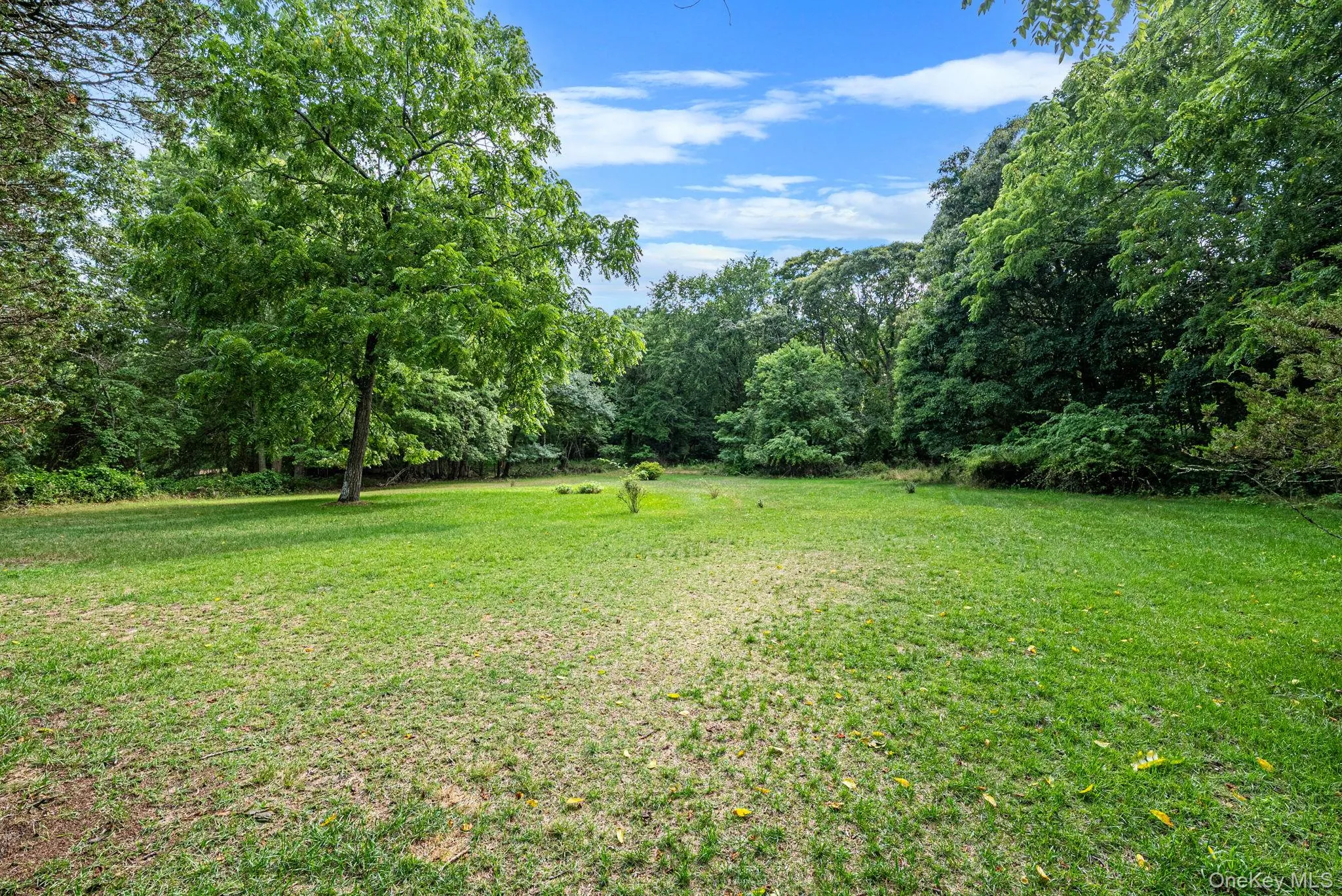 42 Bartlett Road, Brookhaven, NY, 3 Bedrooms Bedrooms, 8 Rooms Rooms,2 BathroomsBathrooms,Residential,For Rent,Bartlett,0,1030942 42 Bartlett Road, Brookhaven, NY, 3 Bedrooms Bedrooms, 8 Rooms Rooms,2 BathroomsBathrooms,Residential,For Rent,Bartlett,0,1030942
