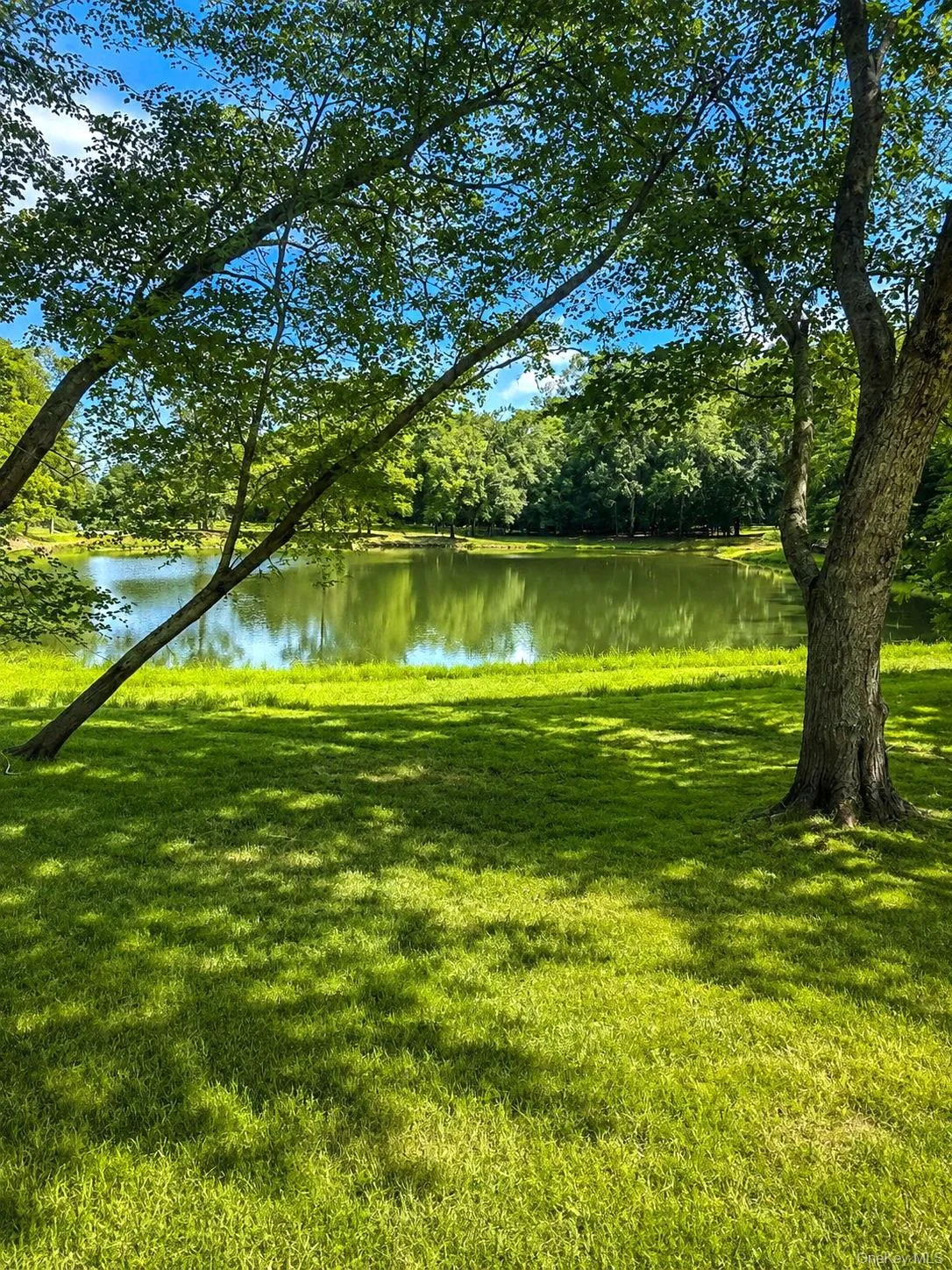 Large Pond located on the property. Large Pond located on the property.