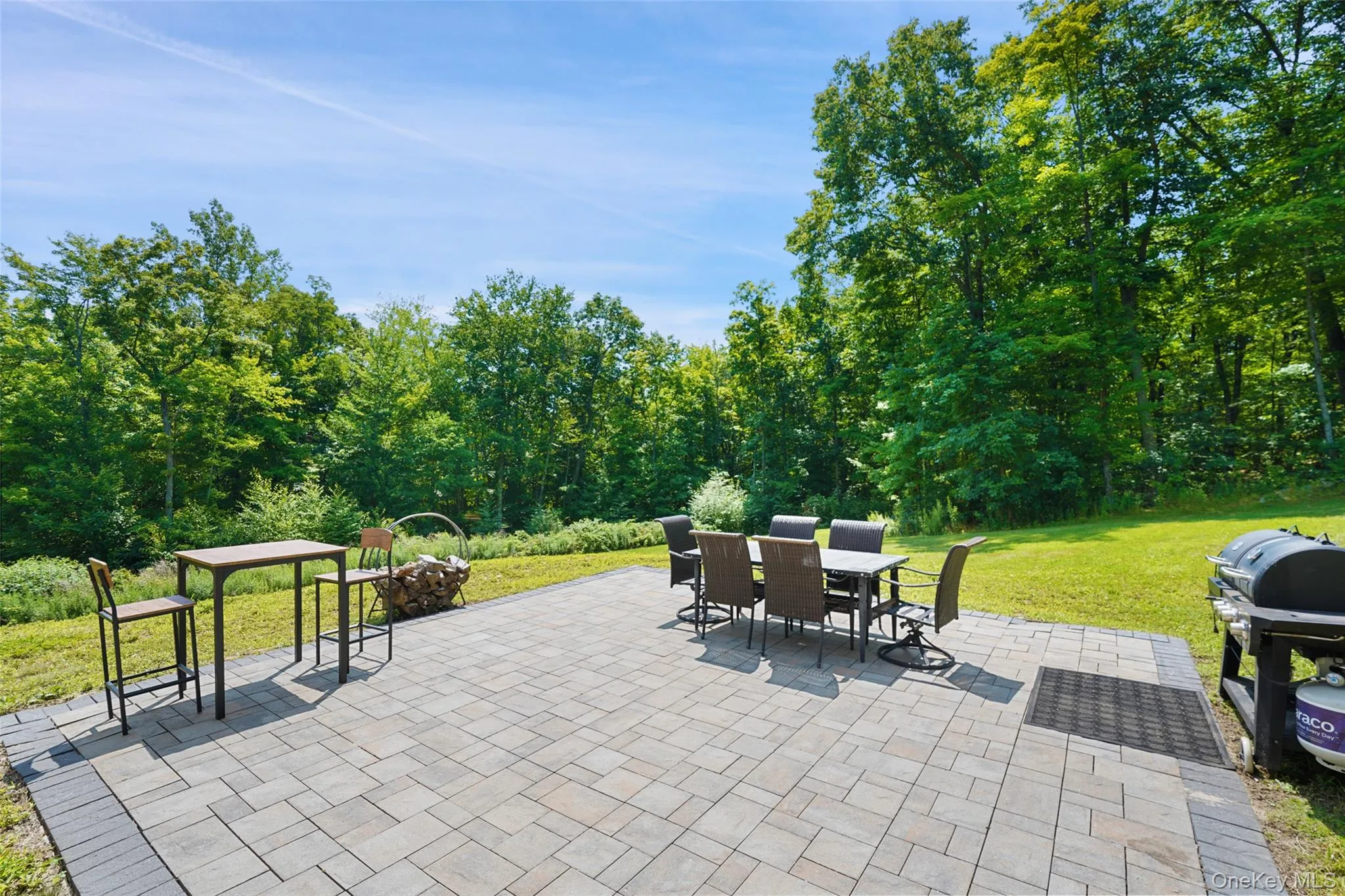 2nd patio off of the family room 2nd patio off of the family room