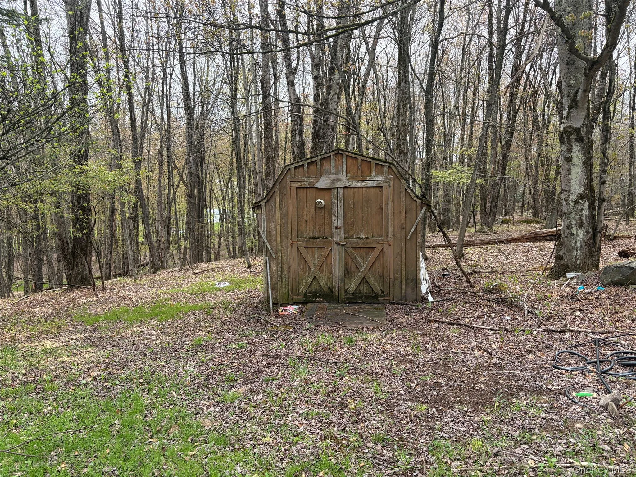 210 Labaugh Road, Fallsburg, NY, 3 Bedrooms Bedrooms, 6 Rooms Rooms,2 BathroomsBathrooms,Residential,For Rent,Labaugh,0,1030996 210 Labaugh Road, Fallsburg, NY, 3 Bedrooms Bedrooms, 6 Rooms Rooms,2 BathroomsBathrooms,Residential,For Rent,Labaugh,0,1030996