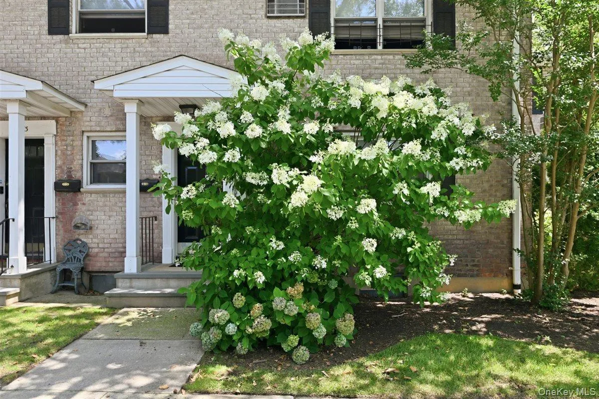 82-75 Langdale Street, New York, NY, 2 Bedrooms Bedrooms, 4 Rooms Rooms,1 BathroomBathrooms,Residential,For Rent,Langdale,0,1031006 82-75 Langdale Street, New York, NY, 2 Bedrooms Bedrooms, 4 Rooms Rooms,1 BathroomBathrooms,Residential,For Rent,Langdale,0,1031006