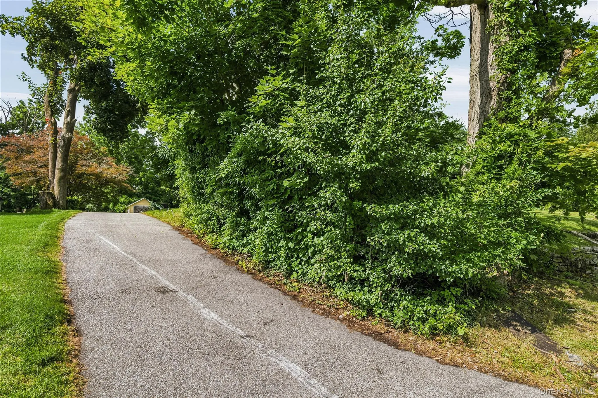 10 Park Avenue, Woodbury, NY, 3 Bedrooms Bedrooms, 6 Rooms Rooms,2 BathroomsBathrooms,Residential,For Rent,Park,0,1031034 10 Park Avenue, Woodbury, NY, 3 Bedrooms Bedrooms, 6 Rooms Rooms,2 BathroomsBathrooms,Residential,For Rent,Park,0,1031034