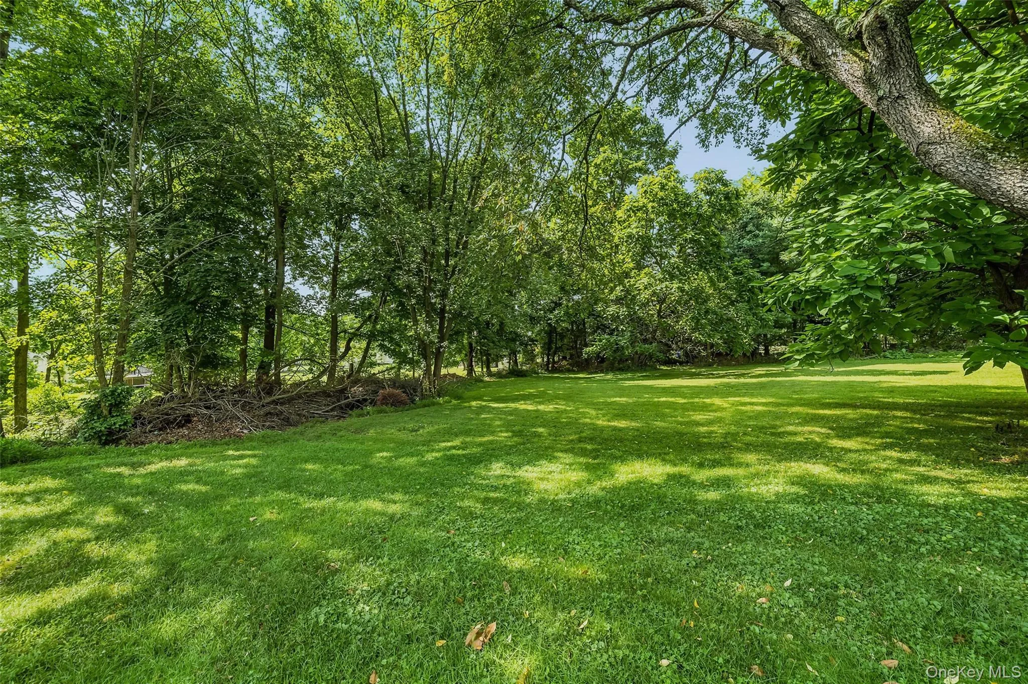 10 Park Avenue, Woodbury, NY, 3 Bedrooms Bedrooms, 6 Rooms Rooms,2 BathroomsBathrooms,Residential,For Rent,Park,0,1031034 10 Park Avenue, Woodbury, NY, 3 Bedrooms Bedrooms, 6 Rooms Rooms,2 BathroomsBathrooms,Residential,For Rent,Park,0,1031034