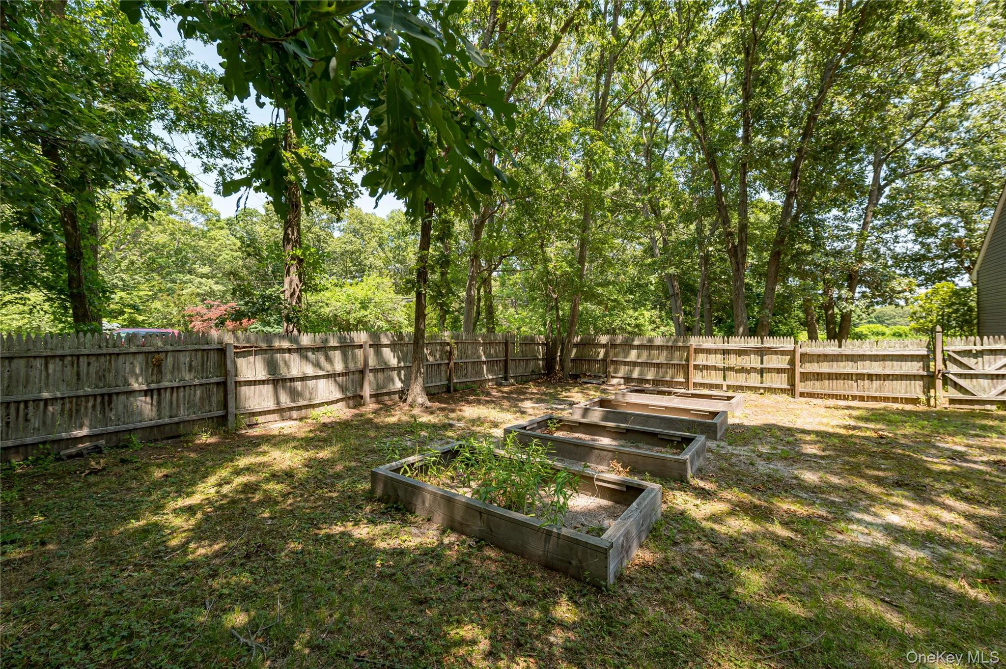 252 Oxhead Road, Brookhaven, NY, 3 Bedrooms Bedrooms, 6 Rooms Rooms,2 BathroomsBathrooms,Residential,For Rent,Oxhead,0,1031038 252 Oxhead Road, Brookhaven, NY, 3 Bedrooms Bedrooms, 6 Rooms Rooms,2 BathroomsBathrooms,Residential,For Rent,Oxhead,0,1031038