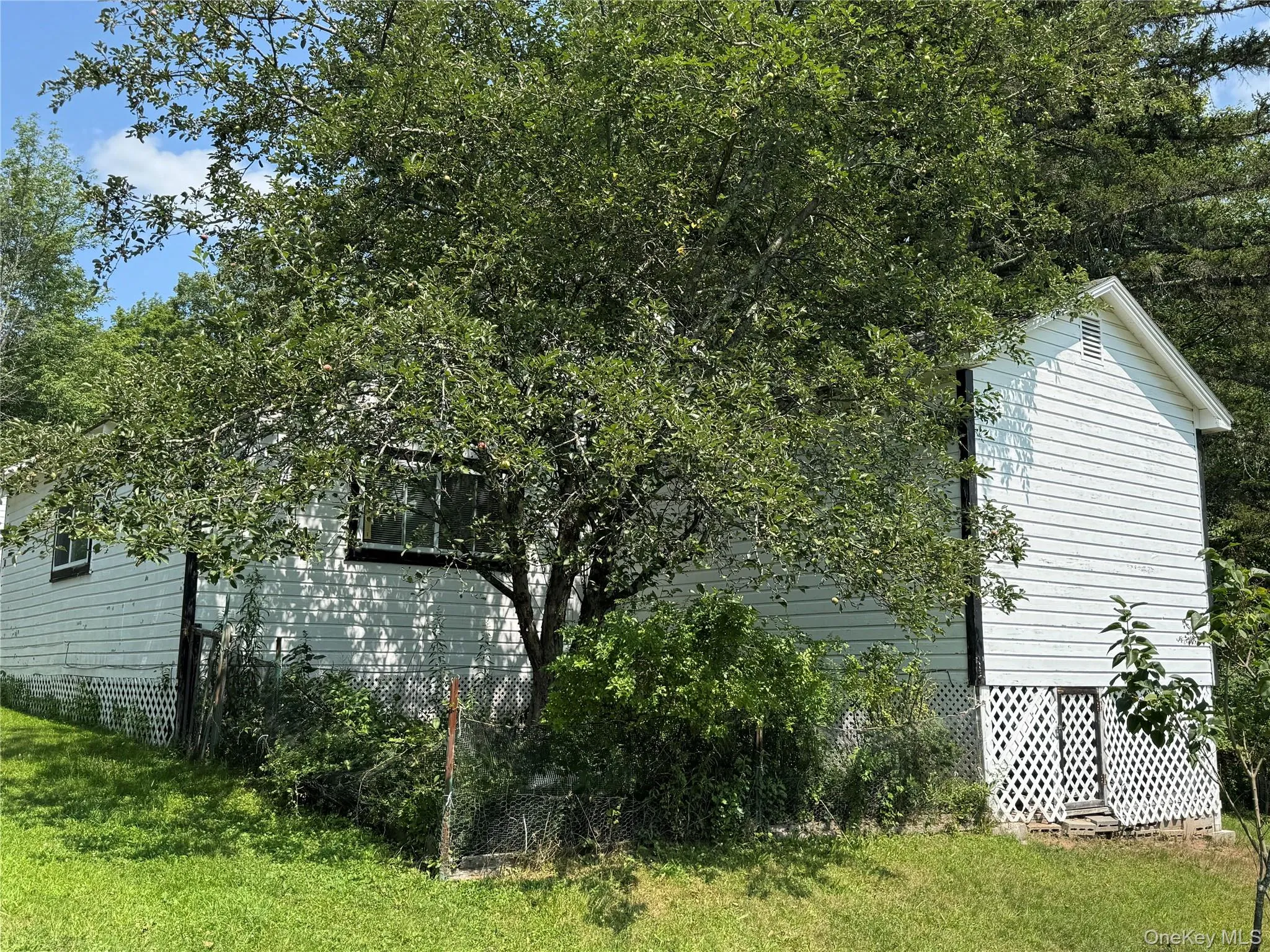 6269 State Route 42, Fallsburg, NY, 4 Bedrooms Bedrooms, 6 Rooms Rooms,2 BathroomsBathrooms,Residential,For Rent,State Route 42,0,1031061 6269 State Route 42, Fallsburg, NY, 4 Bedrooms Bedrooms, 6 Rooms Rooms,2 BathroomsBathrooms,Residential,For Rent,State Route 42,0,1031061