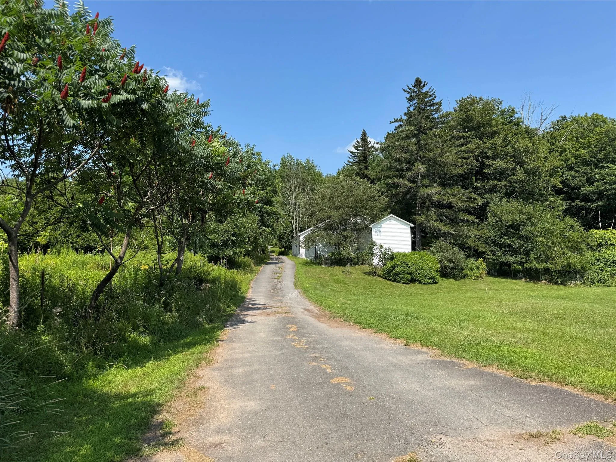 6269 State Route 42, Fallsburg, NY, 4 Bedrooms Bedrooms, 6 Rooms Rooms,2 BathroomsBathrooms,Residential,For Rent,State Route 42,0,1031061 6269 State Route 42, Fallsburg, NY, 4 Bedrooms Bedrooms, 6 Rooms Rooms,2 BathroomsBathrooms,Residential,For Rent,State Route 42,0,1031061