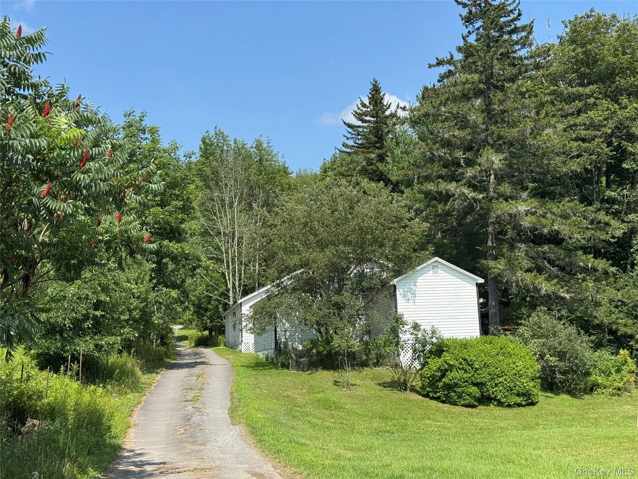 6269 State Route 42, Fallsburg, NY, 4 Bedrooms Bedrooms, 6 Rooms Rooms,2 BathroomsBathrooms,Residential,For Rent,State Route 42,0,1031061 6269 State Route 42, Fallsburg, NY, 4 Bedrooms Bedrooms, 6 Rooms Rooms,2 BathroomsBathrooms,Residential,For Rent,State Route 42,0,1031061