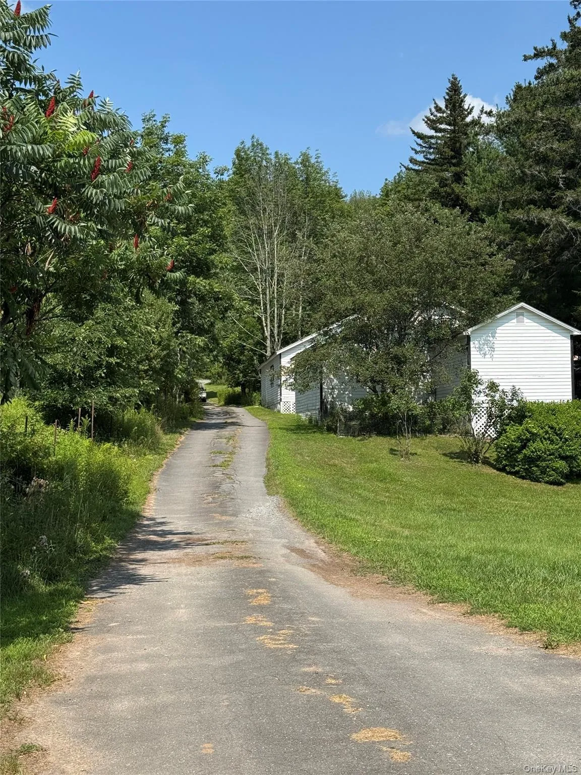 6269 State Route 42, Fallsburg, NY, 4 Bedrooms Bedrooms, 6 Rooms Rooms,2 BathroomsBathrooms,Residential,For Rent,State Route 42,0,1031061 6269 State Route 42, Fallsburg, NY, 4 Bedrooms Bedrooms, 6 Rooms Rooms,2 BathroomsBathrooms,Residential,For Rent,State Route 42,0,1031061