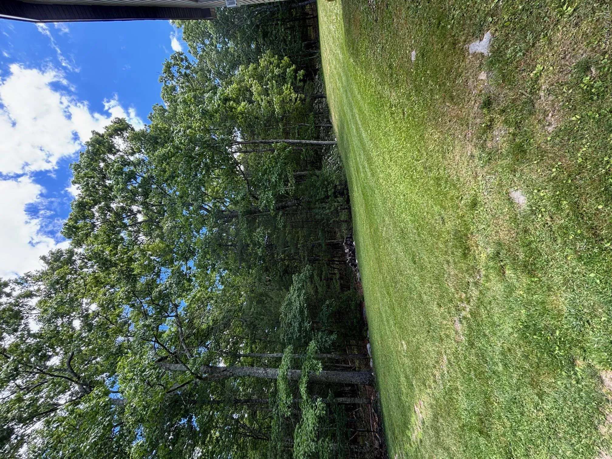 27 Elbert Road, Mamakating, NY, 3 Bedrooms Bedrooms, 6 Rooms Rooms,2 BathroomsBathrooms,Residential,For Rent,Elbert,0,1031067 27 Elbert Road, Mamakating, NY, 3 Bedrooms Bedrooms, 6 Rooms Rooms,2 BathroomsBathrooms,Residential,For Rent,Elbert,0,1031067