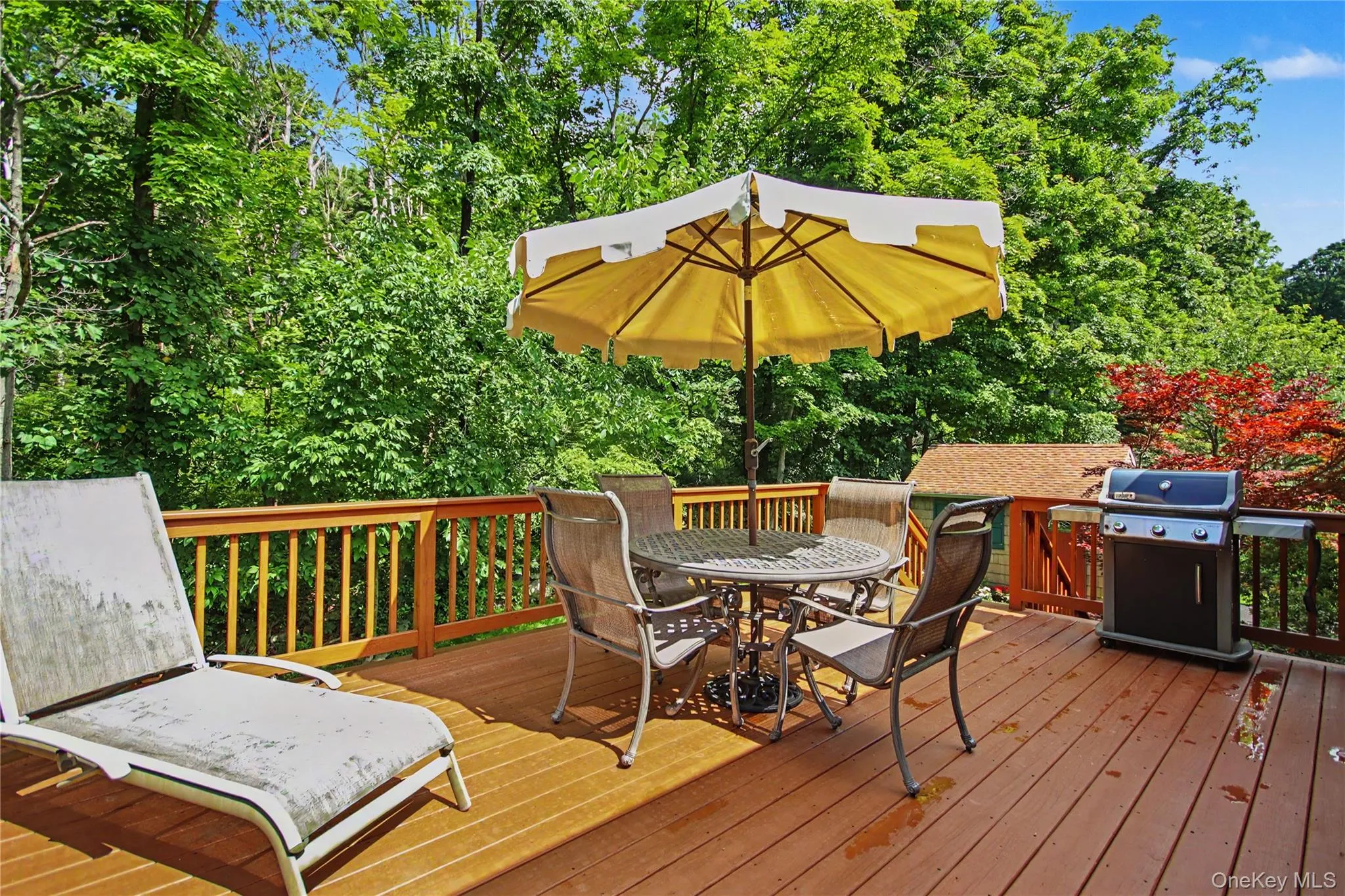 Large Deck Large Deck