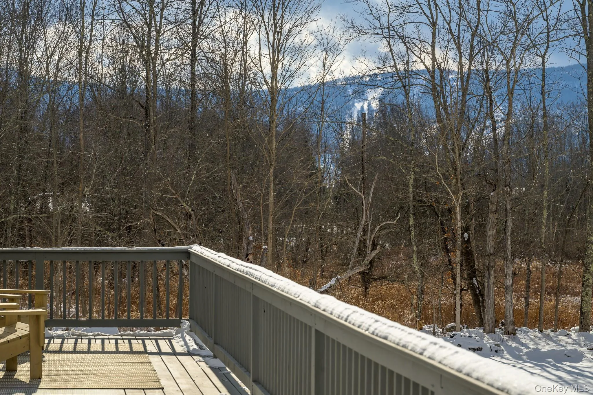 305 Mitchell Hollow Road, Windham, NY, 4 Bedrooms Bedrooms, 14 Rooms Rooms,3 BathroomsBathrooms,Residential,For Rent,Mitchell Hollow,0,1031149 305 Mitchell Hollow Road, Windham, NY, 4 Bedrooms Bedrooms, 14 Rooms Rooms,3 BathroomsBathrooms,Residential,For Rent,Mitchell Hollow,0,1031149