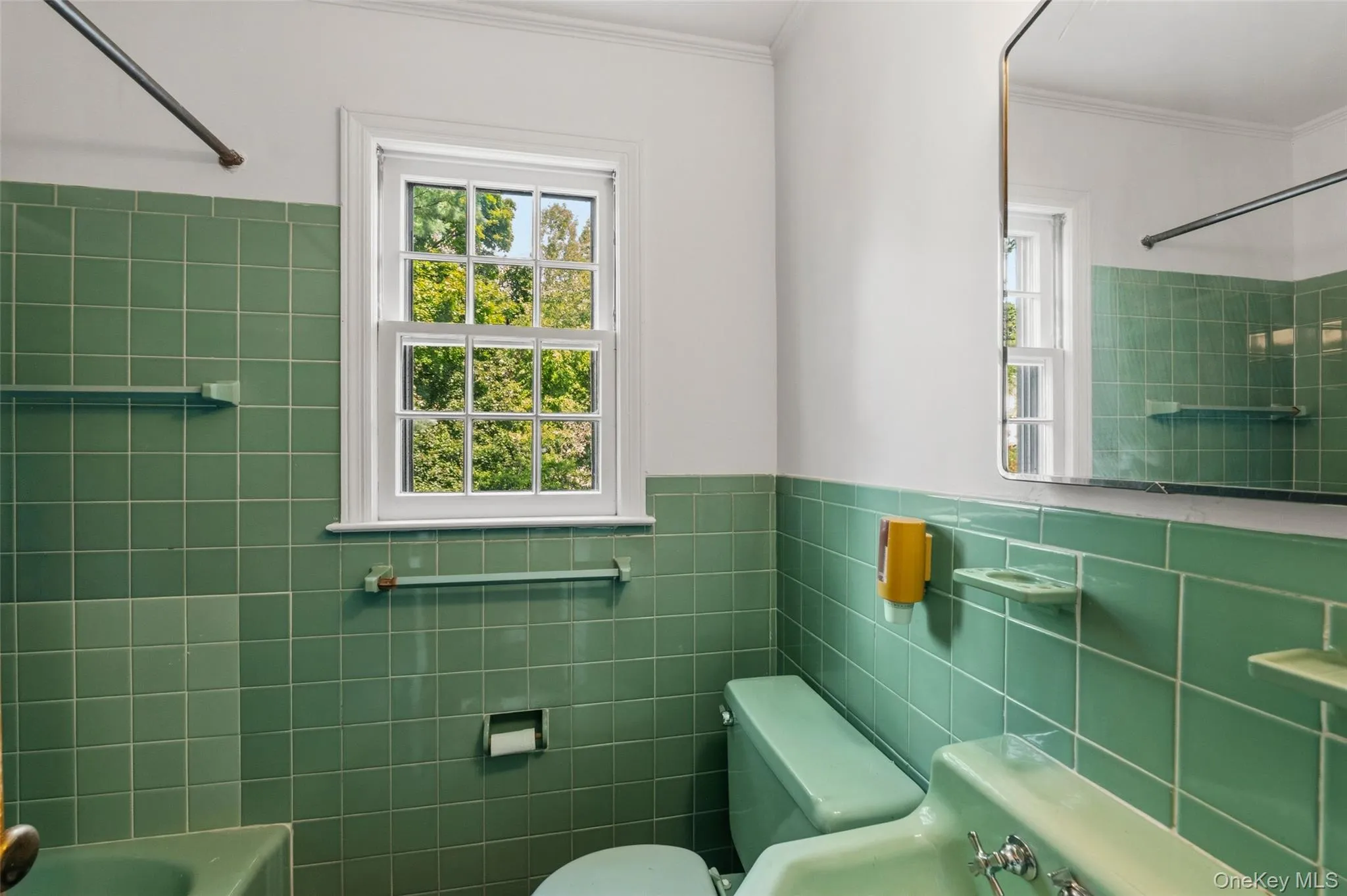 20 Bird Place, White Plains, NY, 4 Bedrooms Bedrooms, 6 Rooms Rooms,2 BathroomsBathrooms,Residential,For Rent,Bird,0,1031286 20 Bird Place, White Plains, NY, 4 Bedrooms Bedrooms, 6 Rooms Rooms,2 BathroomsBathrooms,Residential,For Rent,Bird,0,1031286