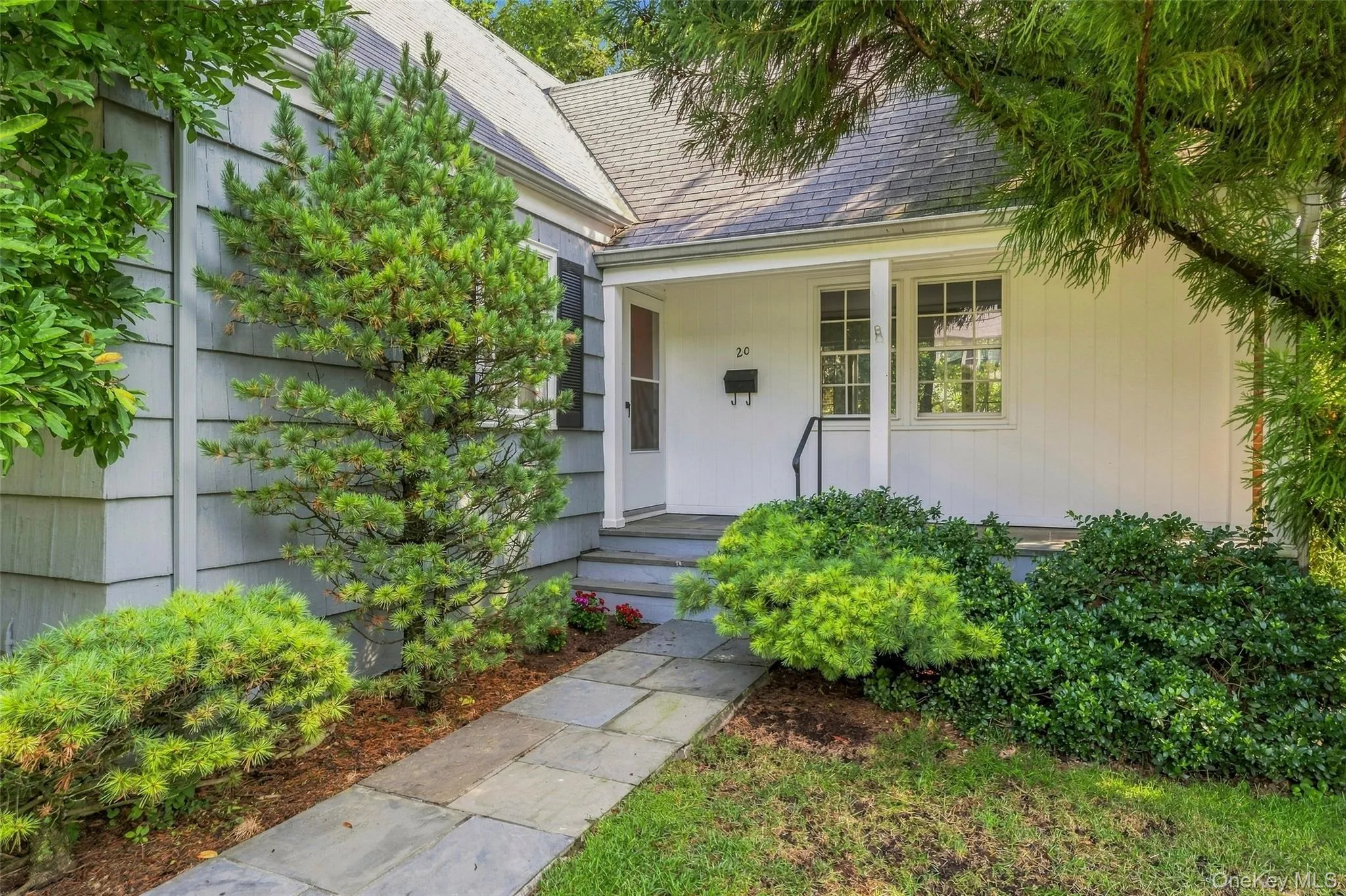 20 Bird Place, White Plains, NY, 4 Bedrooms Bedrooms, 6 Rooms Rooms,2 BathroomsBathrooms,Residential,For Rent,Bird,0,1031286 20 Bird Place, White Plains, NY, 4 Bedrooms Bedrooms, 6 Rooms Rooms,2 BathroomsBathrooms,Residential,For Rent,Bird,0,1031286