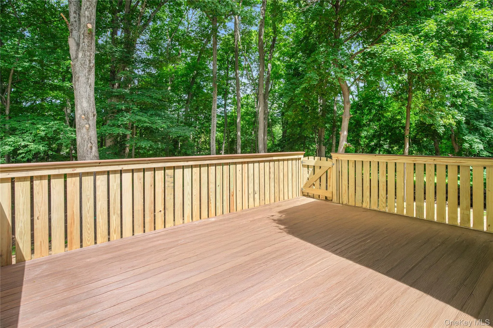 57 Forshay Road, Ramapo, NY, 6 Bedrooms Bedrooms, 12 Rooms Rooms,3 BathroomsBathrooms,Residential,For Rent,Forshay,0,1031329 57 Forshay Road, Ramapo, NY, 6 Bedrooms Bedrooms, 12 Rooms Rooms,3 BathroomsBathrooms,Residential,For Rent,Forshay,0,1031329