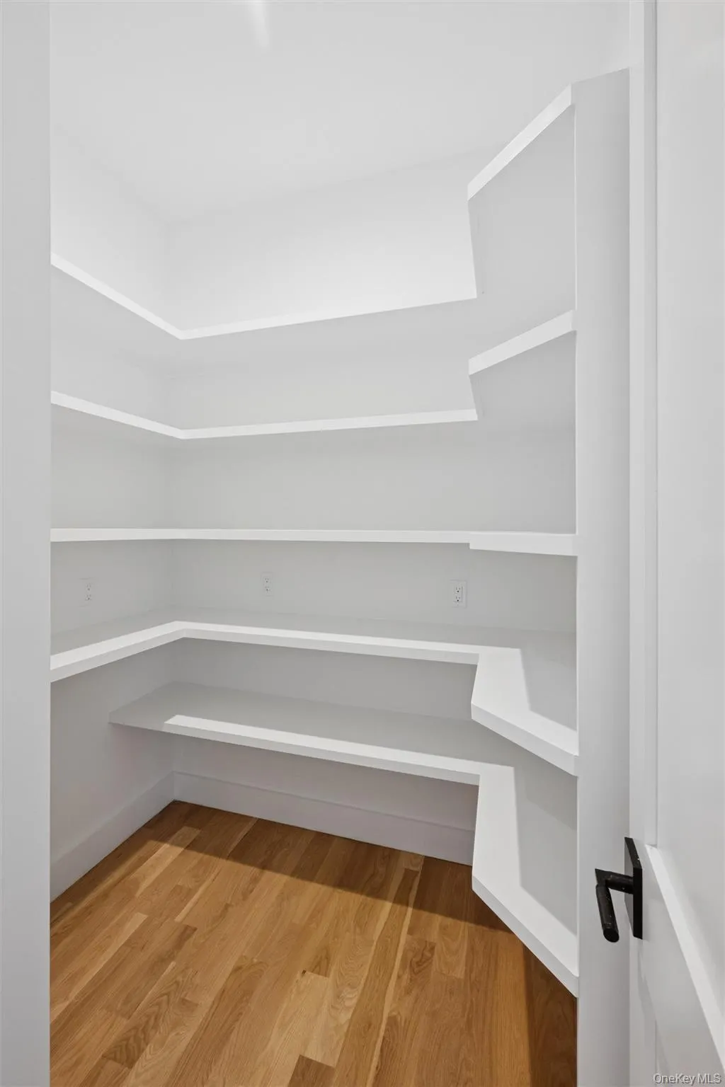 Pantry with custom shelving Pantry with custom shelving