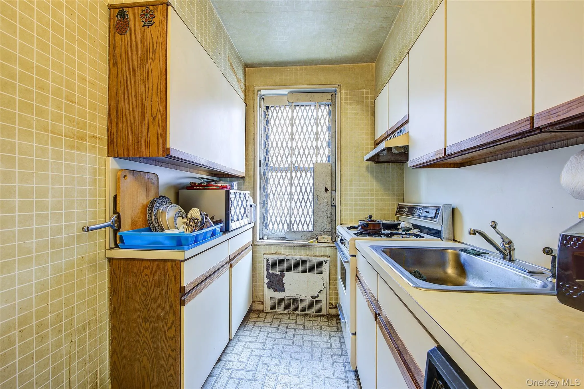 37-27 86th Street, New York, NY, 1 Bedroom Bedrooms, 3 Rooms Rooms,1 BathroomBathrooms,Residential,For Rent,86th,0,1031419 37-27 86th Street, New York, NY, 1 Bedroom Bedrooms, 3 Rooms Rooms,1 BathroomBathrooms,Residential,For Rent,86th,0,1031419