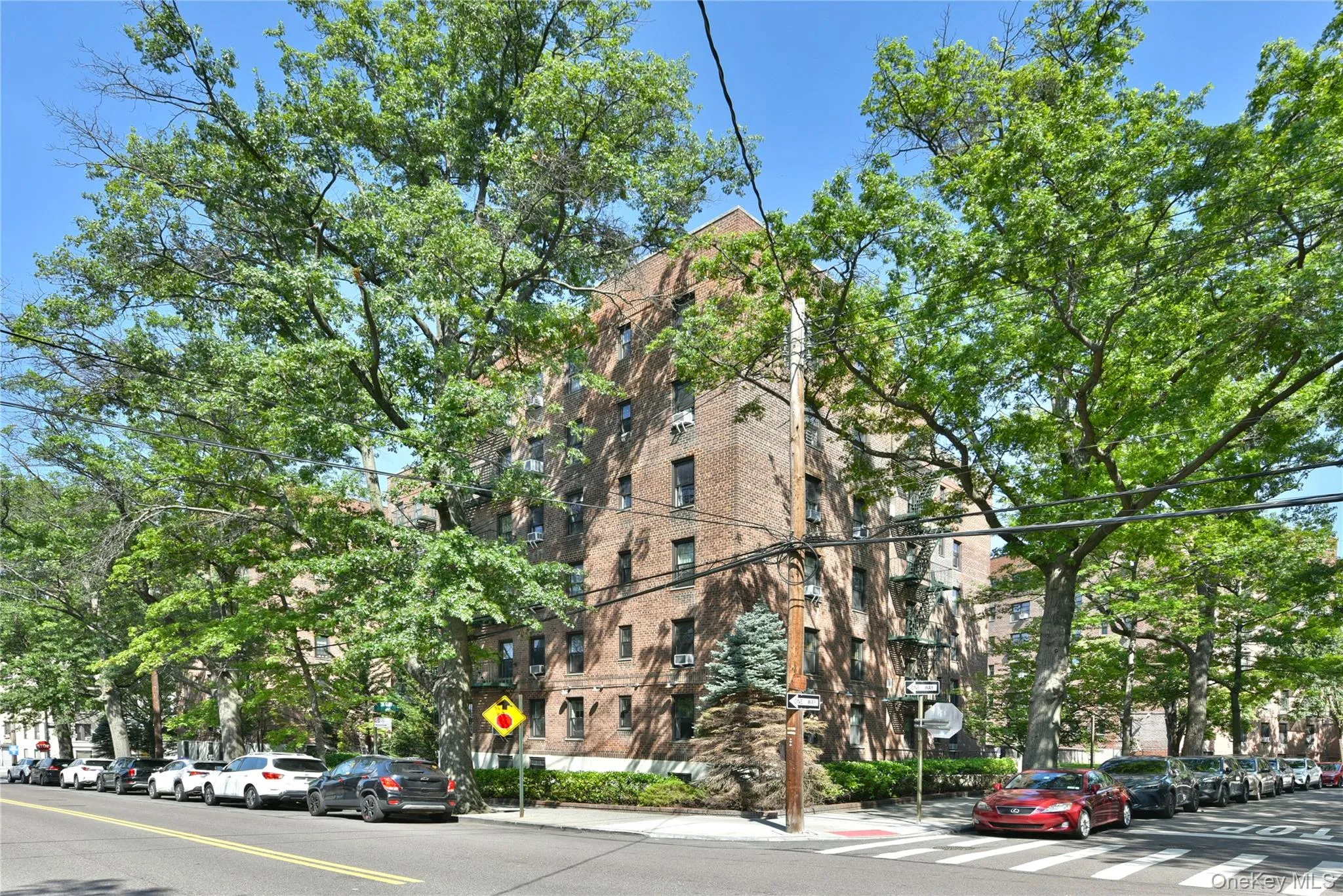 139-09 84 Drive, New York, NY, 1 Bedroom Bedrooms, 4 Rooms Rooms,1 BathroomBathrooms,Residential,For Rent,84,0,1031428 139-09 84 Drive, New York, NY, 1 Bedroom Bedrooms, 4 Rooms Rooms,1 BathroomBathrooms,Residential,For Rent,84,0,1031428