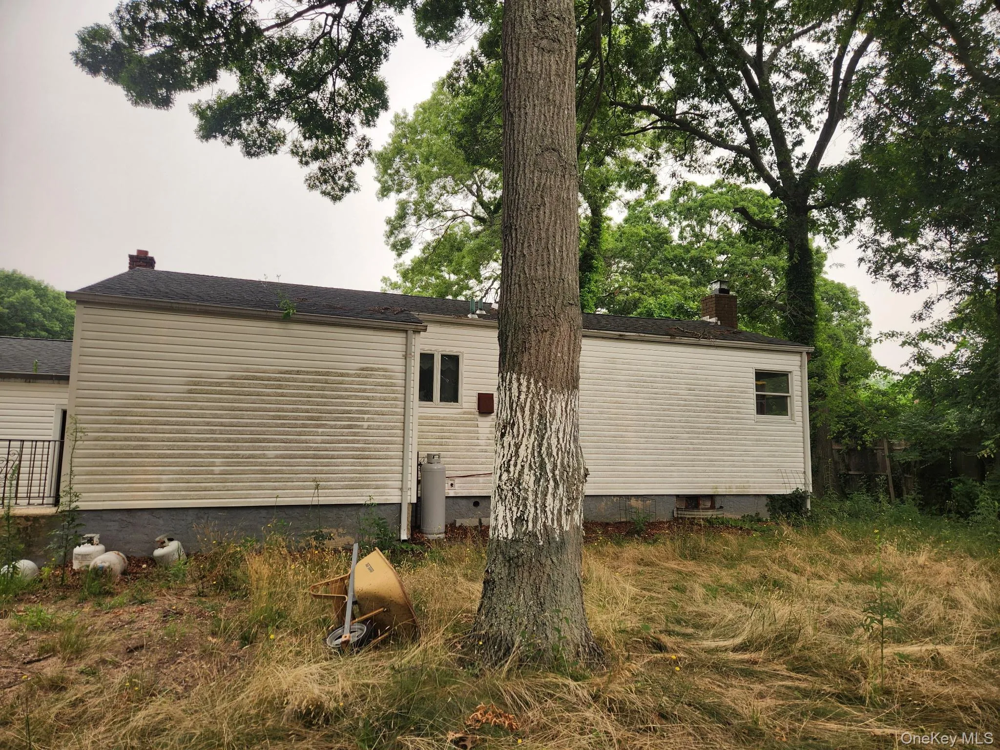 229 Mill Road, Brookhaven, NY, 3 Bedrooms Bedrooms, 7 Rooms Rooms,1 BathroomBathrooms,Residential,For Rent,Mill,0,1031440 229 Mill Road, Brookhaven, NY, 3 Bedrooms Bedrooms, 7 Rooms Rooms,1 BathroomBathrooms,Residential,For Rent,Mill,0,1031440