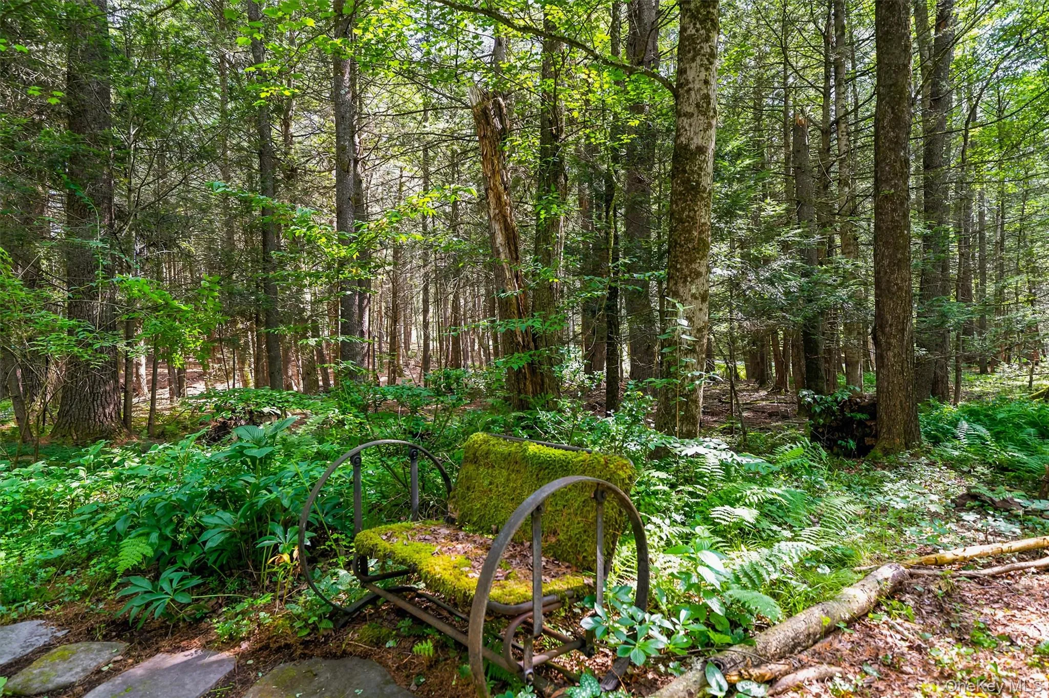 111 Deer Meadow Road, Bethel, NY, 3 Bedrooms Bedrooms, 12 Rooms Rooms,3 BathroomsBathrooms,Residential,For Rent,Deer Meadow,0,1031460 111 Deer Meadow Road, Bethel, NY, 3 Bedrooms Bedrooms, 12 Rooms Rooms,3 BathroomsBathrooms,Residential,For Rent,Deer Meadow,0,1031460