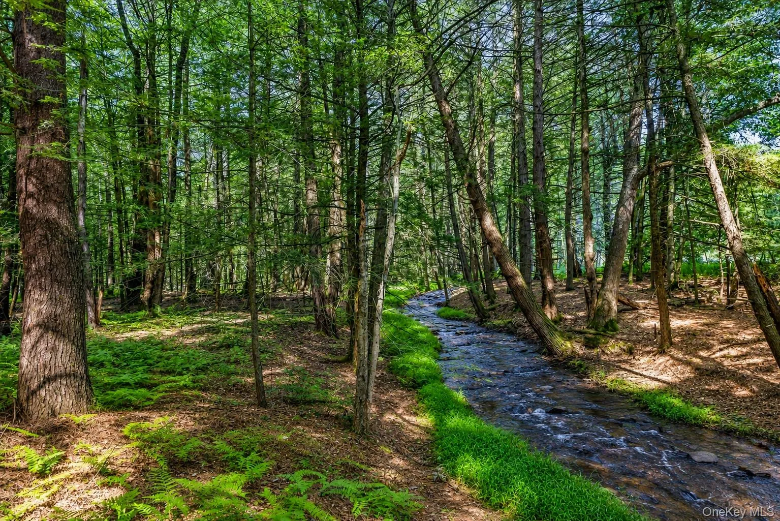 Stream Stream
