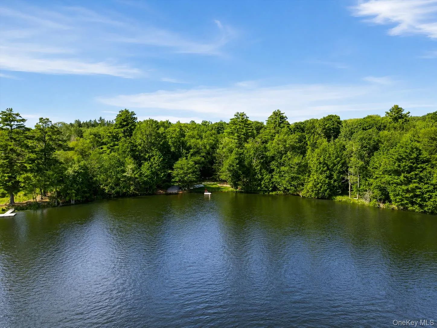 111 Deer Meadow Road, Bethel, NY, 3 Bedrooms Bedrooms, 12 Rooms Rooms,3 BathroomsBathrooms,Residential,For Rent,Deer Meadow,0,1031460 111 Deer Meadow Road, Bethel, NY, 3 Bedrooms Bedrooms, 12 Rooms Rooms,3 BathroomsBathrooms,Residential,For Rent,Deer Meadow,0,1031460