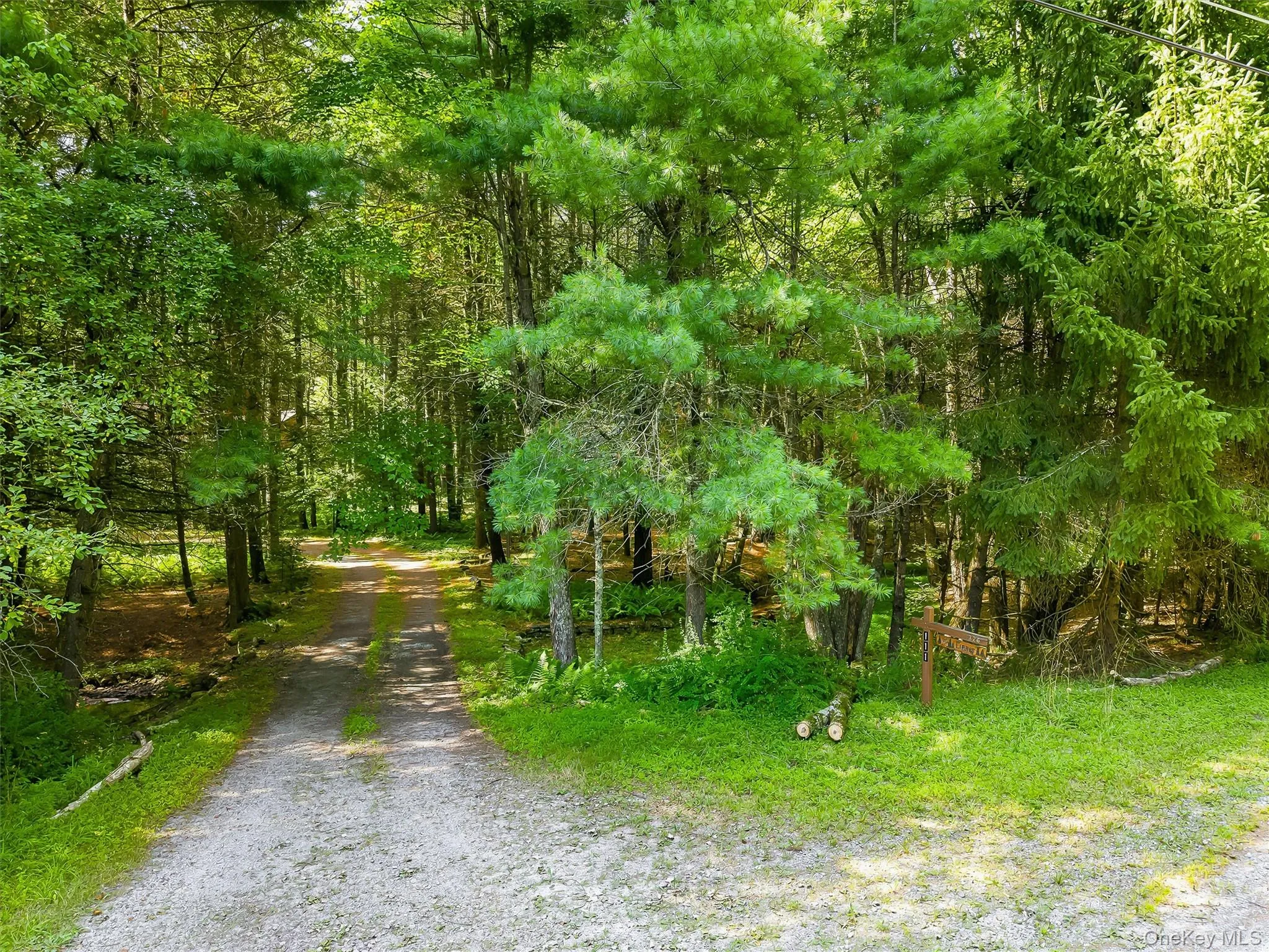 111 Deer Meadow Road, Bethel, NY, 3 Bedrooms Bedrooms, 12 Rooms Rooms,3 BathroomsBathrooms,Residential,For Rent,Deer Meadow,0,1031460 111 Deer Meadow Road, Bethel, NY, 3 Bedrooms Bedrooms, 12 Rooms Rooms,3 BathroomsBathrooms,Residential,For Rent,Deer Meadow,0,1031460
