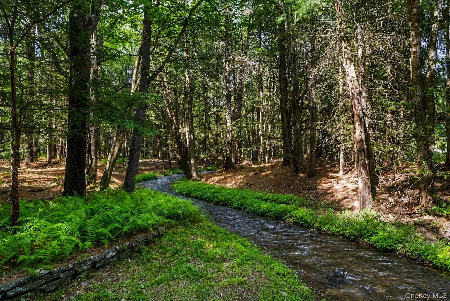111 Deer Meadow Road, Bethel, NY, 3 Bedrooms Bedrooms, 12 Rooms Rooms,3 BathroomsBathrooms,Residential,For Rent,Deer Meadow,0,1031460 111 Deer Meadow Road, Bethel, NY, 3 Bedrooms Bedrooms, 12 Rooms Rooms,3 BathroomsBathrooms,Residential,For Rent,Deer Meadow,0,1031460