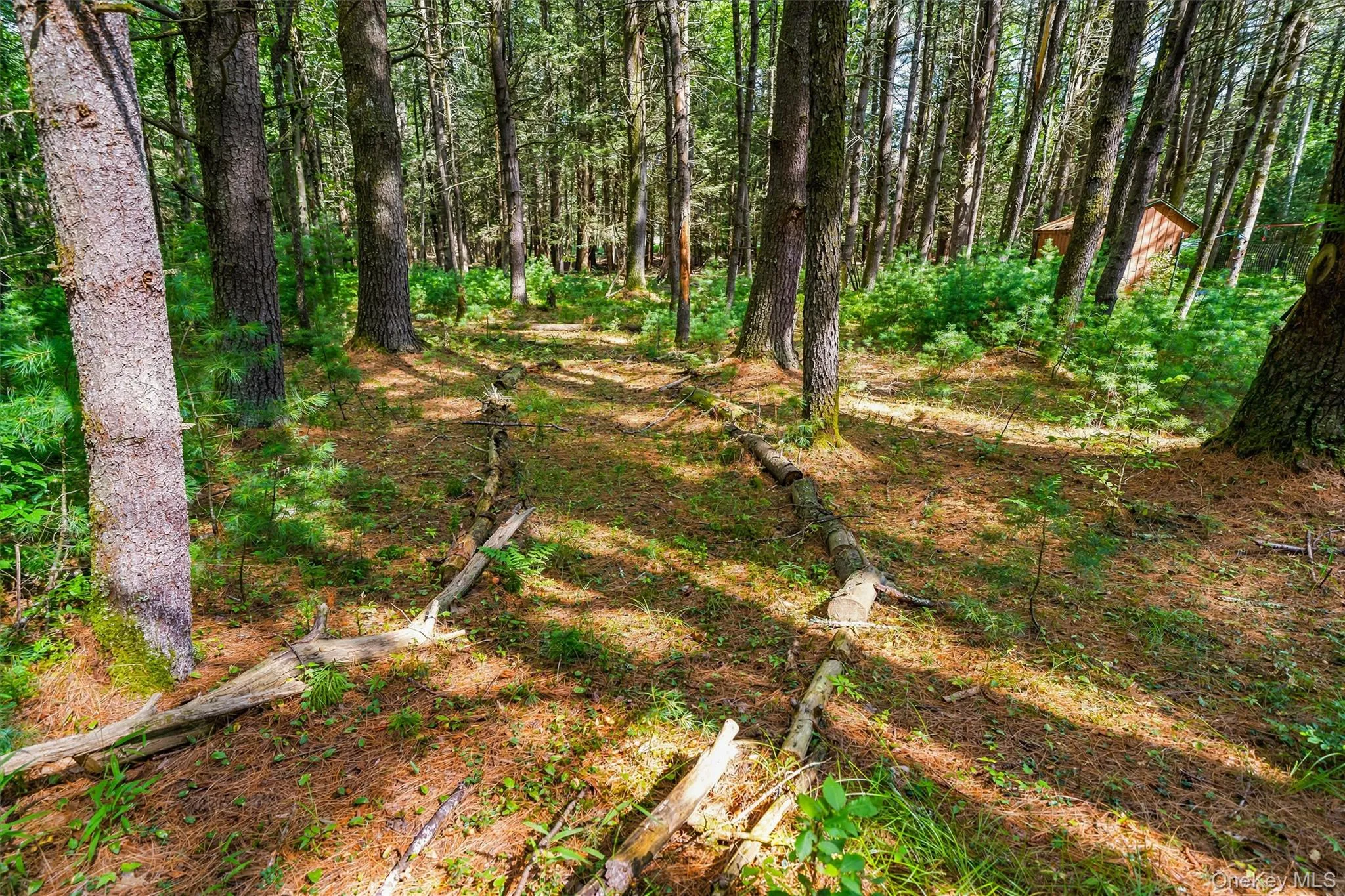 Walking trails Walking trails