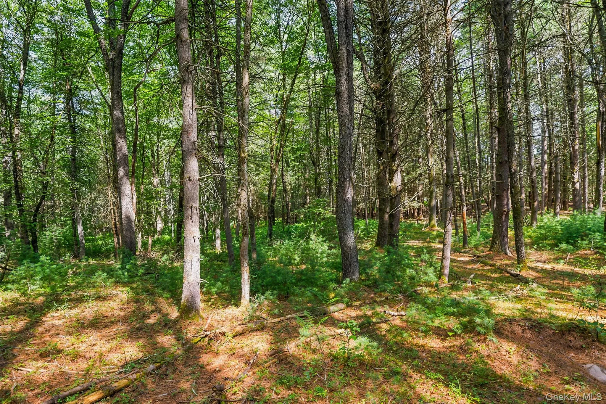 111 Deer Meadow Road, Bethel, NY, 3 Bedrooms Bedrooms, 12 Rooms Rooms,3 BathroomsBathrooms,Residential,For Rent,Deer Meadow,0,1031460 111 Deer Meadow Road, Bethel, NY, 3 Bedrooms Bedrooms, 12 Rooms Rooms,3 BathroomsBathrooms,Residential,For Rent,Deer Meadow,0,1031460
