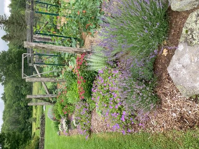 196 & 203 Rubin Road, Thompson, NY, 5 Bedrooms Bedrooms, 9 Rooms Rooms,2 BathroomsBathrooms,Residential,For Rent,Rubin,0,1031473 196 & 203 Rubin Road, Thompson, NY, 5 Bedrooms Bedrooms, 9 Rooms Rooms,2 BathroomsBathrooms,Residential,For Rent,Rubin,0,1031473