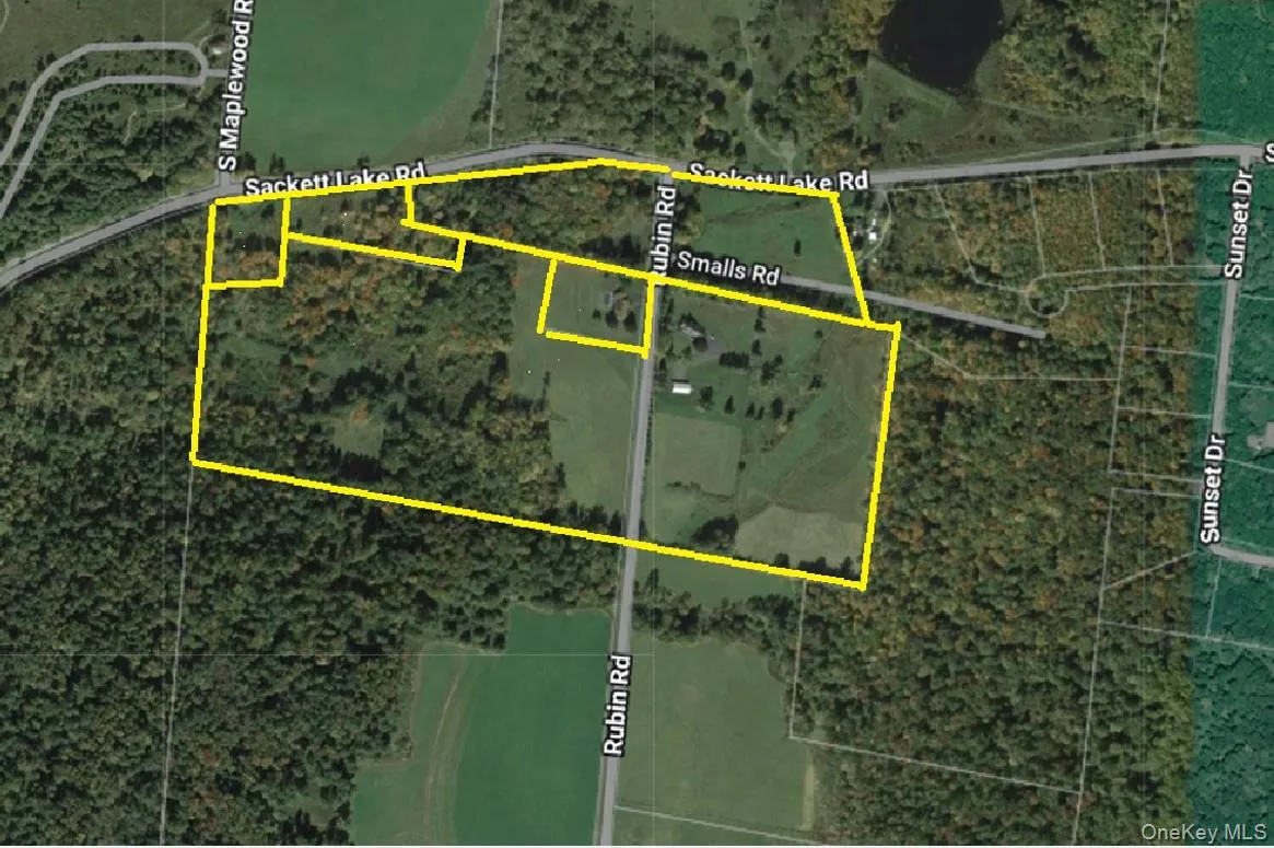 196 & 203 Rubin Road, Thompson, NY, 5 Bedrooms Bedrooms, 9 Rooms Rooms,2 BathroomsBathrooms,Residential,For Rent,Rubin,0,1031473 196 & 203 Rubin Road, Thompson, NY, 5 Bedrooms Bedrooms, 9 Rooms Rooms,2 BathroomsBathrooms,Residential,For Rent,Rubin,0,1031473