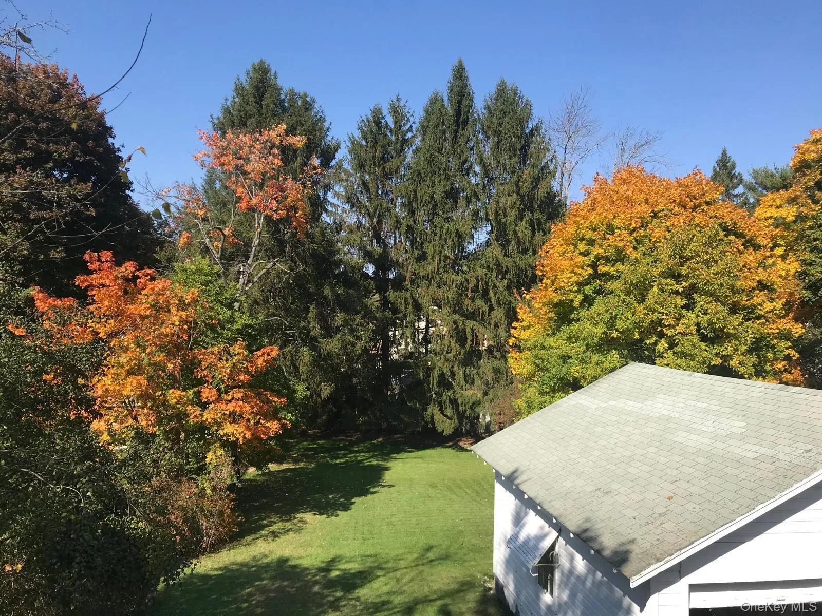 Backyard surrounded by beautiful fall foliage. Backyard surrounded by beautiful fall foliage.