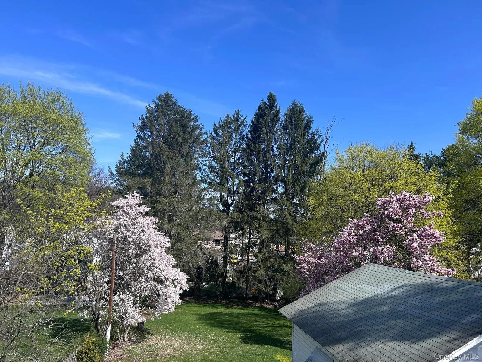 Backyard framed by beautiful spring blooms. Backyard framed by beautiful spring blooms.