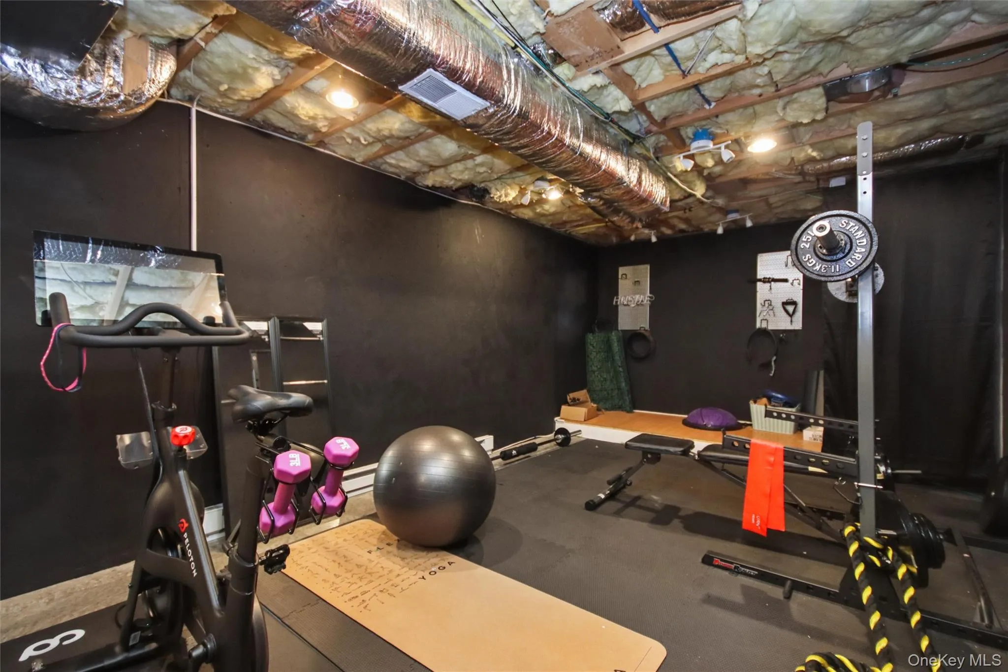Home gym set up in lower level Home gym set up in lower level
