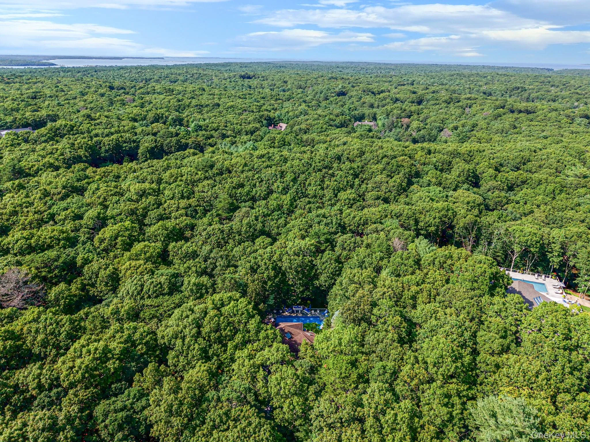 16 Joshuas Path, East Hampton, NY, 3 Bedrooms Bedrooms, 9 Rooms Rooms,2 BathroomsBathrooms,Residential,For Rent,Joshuas,0,1031499 16 Joshuas Path, East Hampton, NY, 3 Bedrooms Bedrooms, 9 Rooms Rooms,2 BathroomsBathrooms,Residential,For Rent,Joshuas,0,1031499
