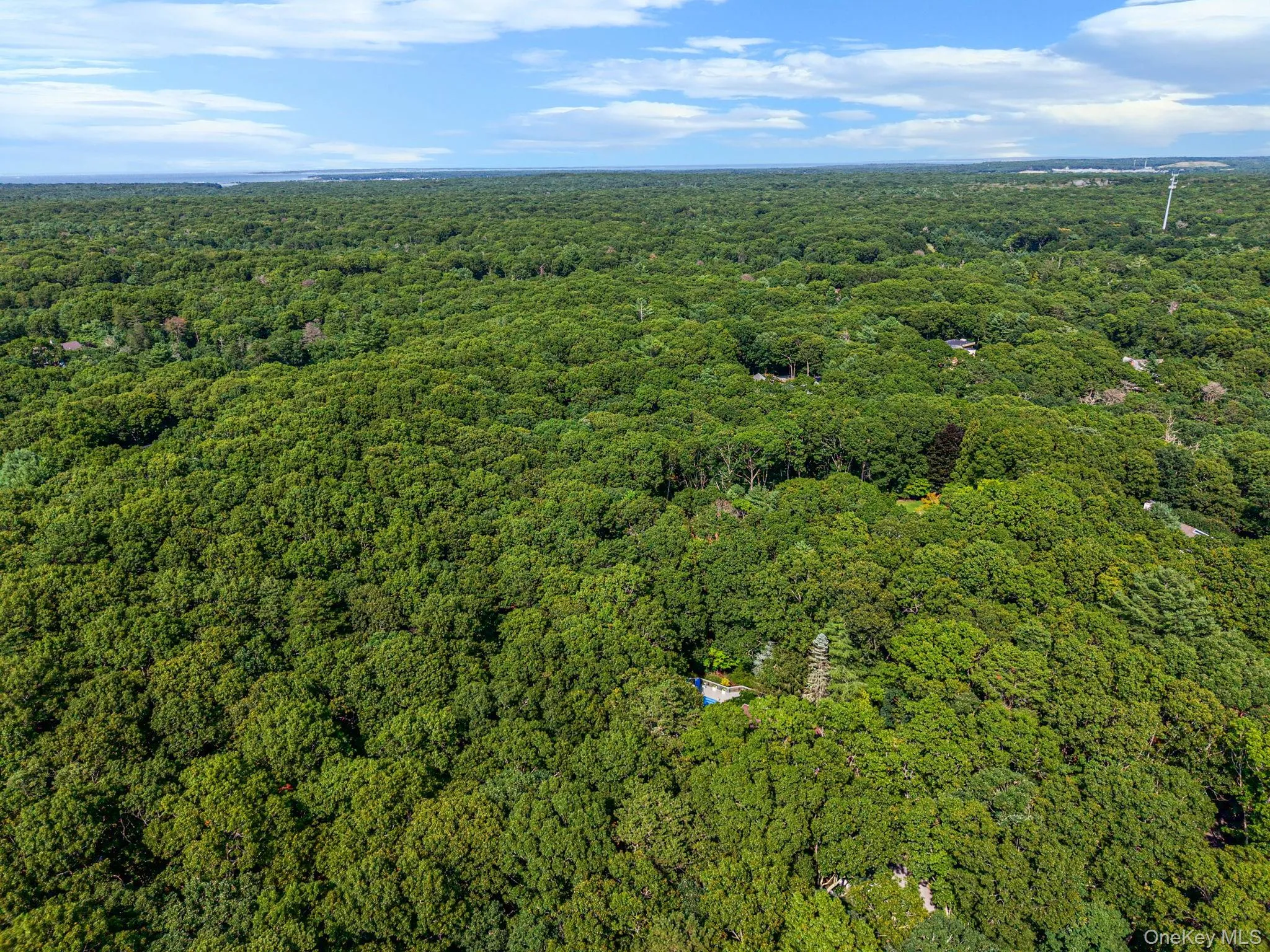 16 Joshuas Path, East Hampton, NY, 3 Bedrooms Bedrooms, 9 Rooms Rooms,2 BathroomsBathrooms,Residential,For Rent,Joshuas,0,1031499 16 Joshuas Path, East Hampton, NY, 3 Bedrooms Bedrooms, 9 Rooms Rooms,2 BathroomsBathrooms,Residential,For Rent,Joshuas,0,1031499