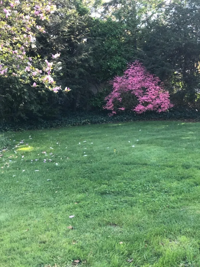 87 11th Avenue, Huntington, NY, 3 Bedrooms Bedrooms, 6 Rooms Rooms,2 BathroomsBathrooms,Residential,For Rent,11th,0,1031520 87 11th Avenue, Huntington, NY, 3 Bedrooms Bedrooms, 6 Rooms Rooms,2 BathroomsBathrooms,Residential,For Rent,11th,0,1031520
